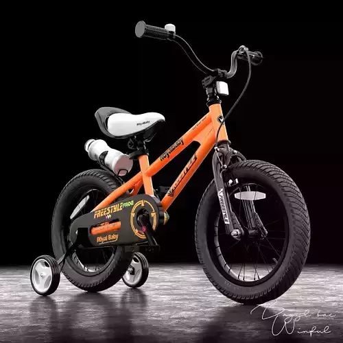 Royal Baby BMX Junior Bike