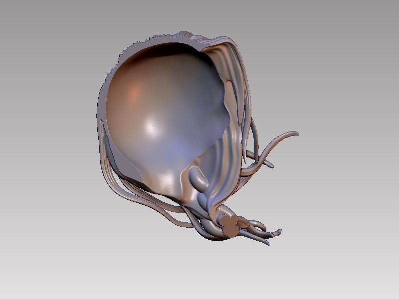 Valkyrie from Asgard 3D print model_13