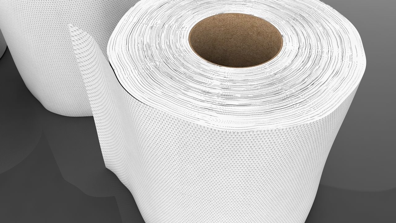 3D Tissue Paper Roll 3D model_2