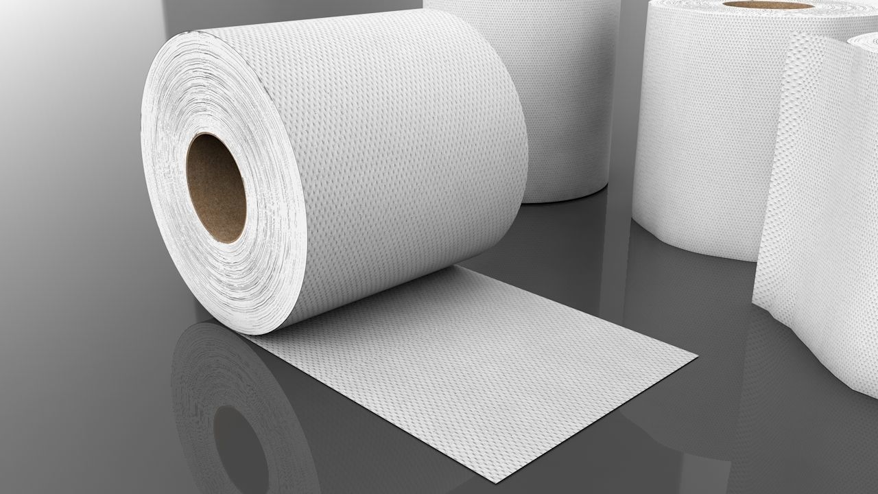 3D Tissue Paper Roll 3D model_5