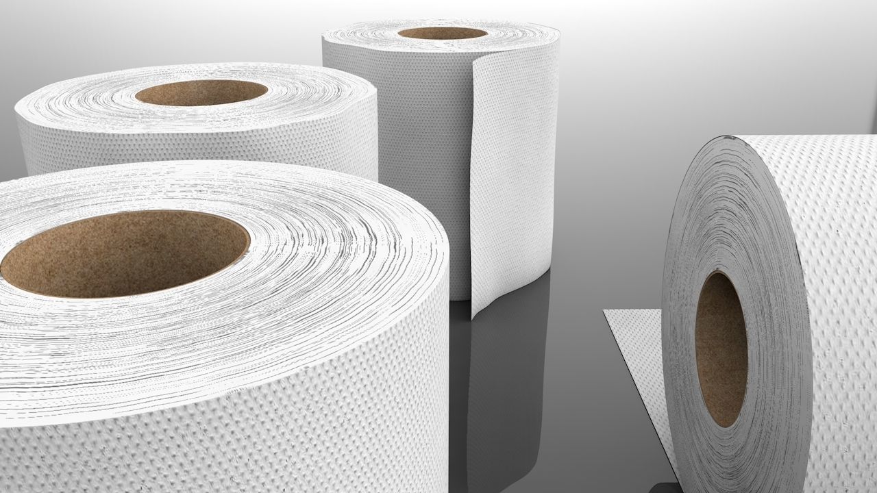 3D Tissue Paper Roll 3D model_1