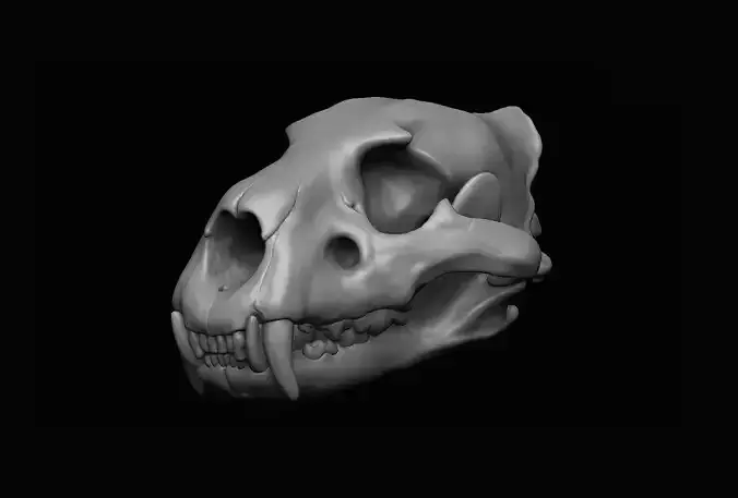 Lion Skull 3D print 3D model