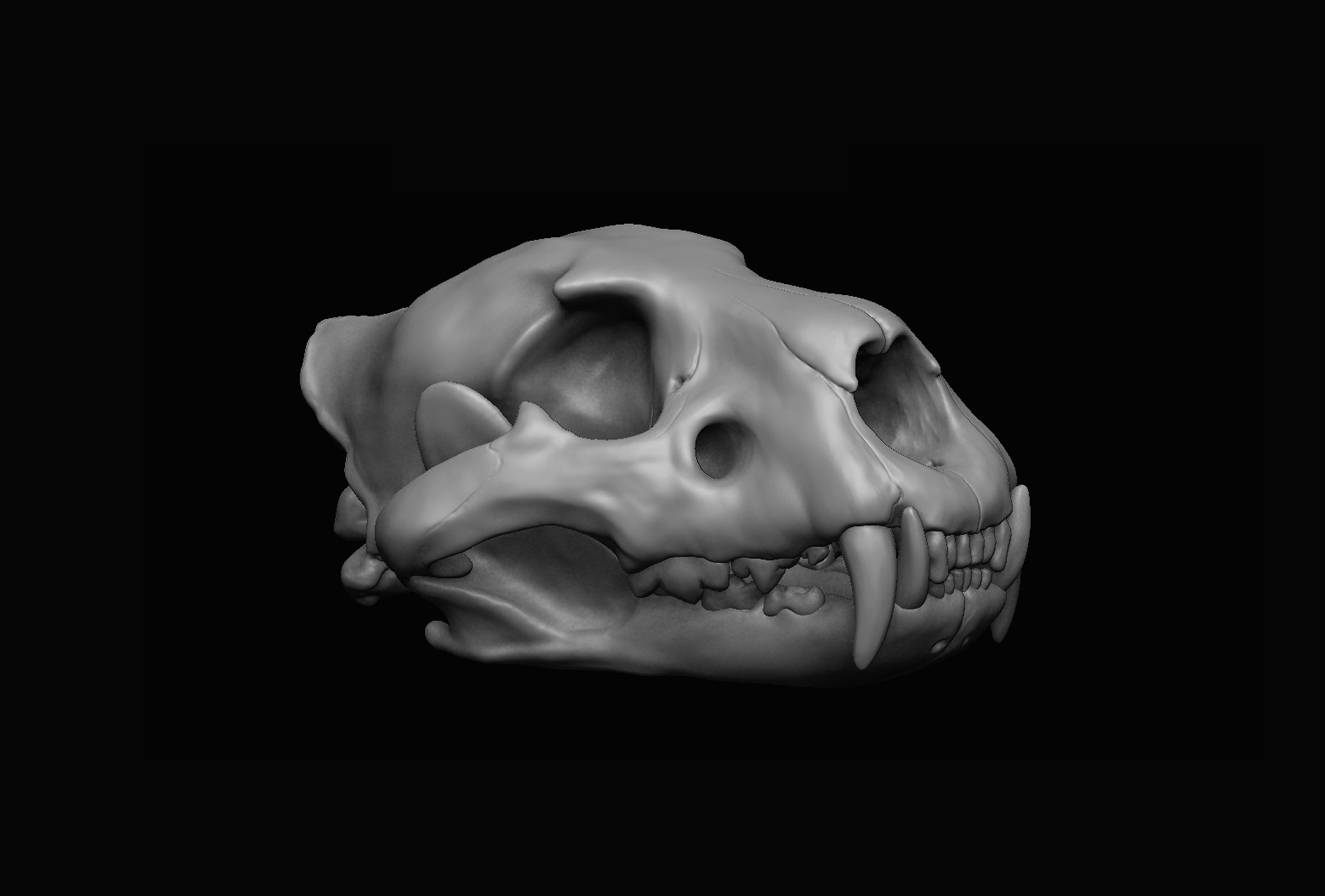 Lion Skull 3D print 3D model_1