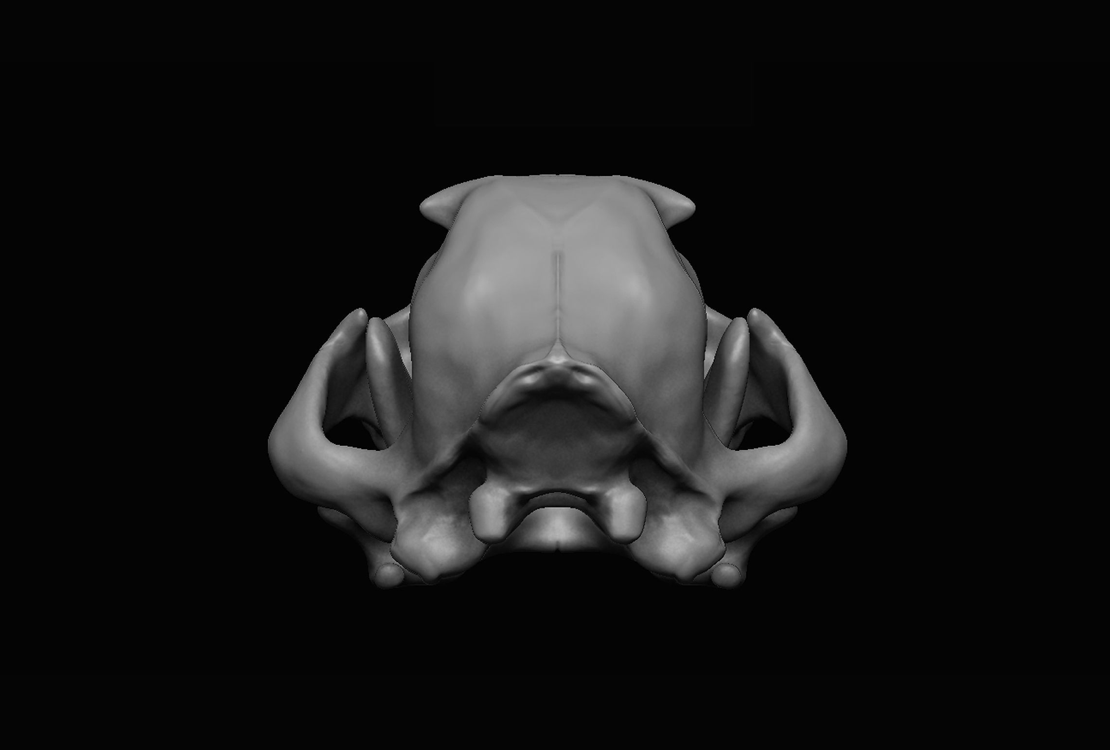 Lion Skull 3D print 3D model_7