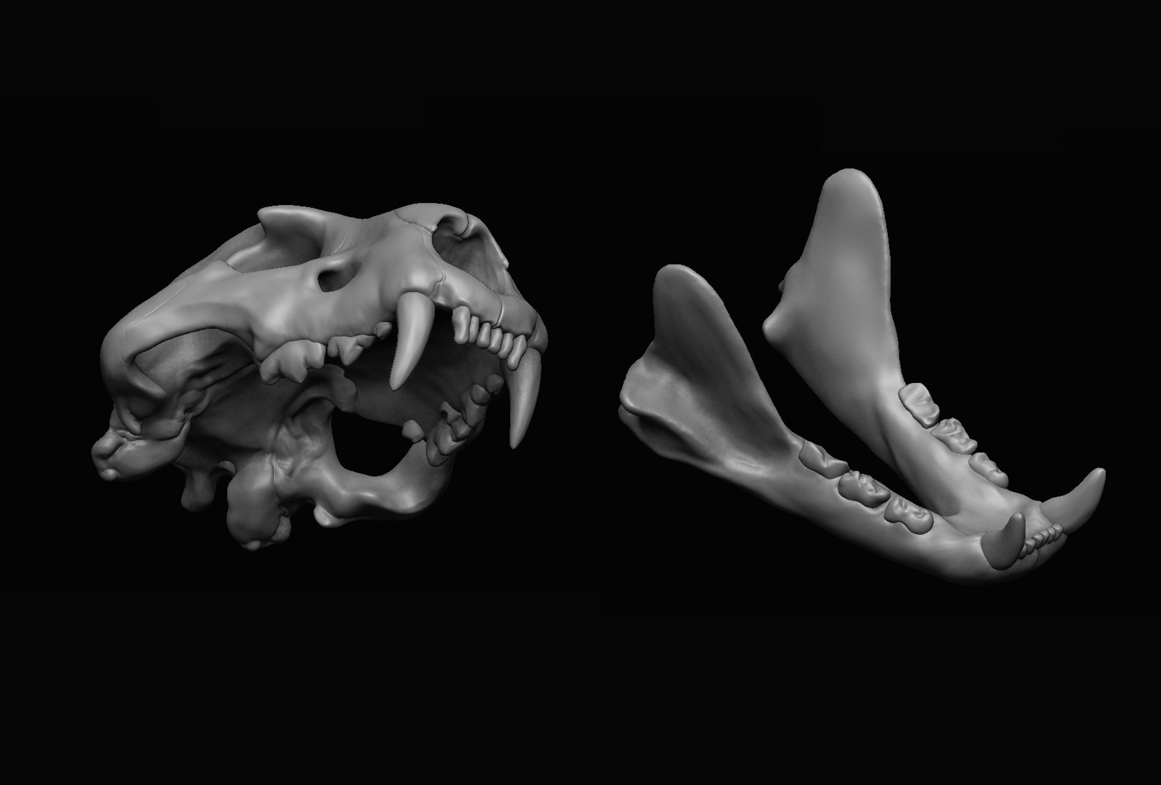 Lion Skull 3D print 3D model_3
