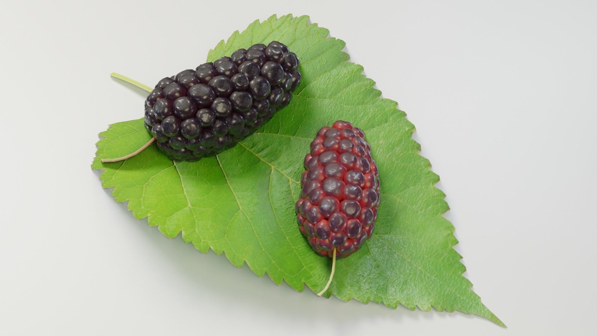 Mulberry 3D Model two berries on leaf 3D model_31