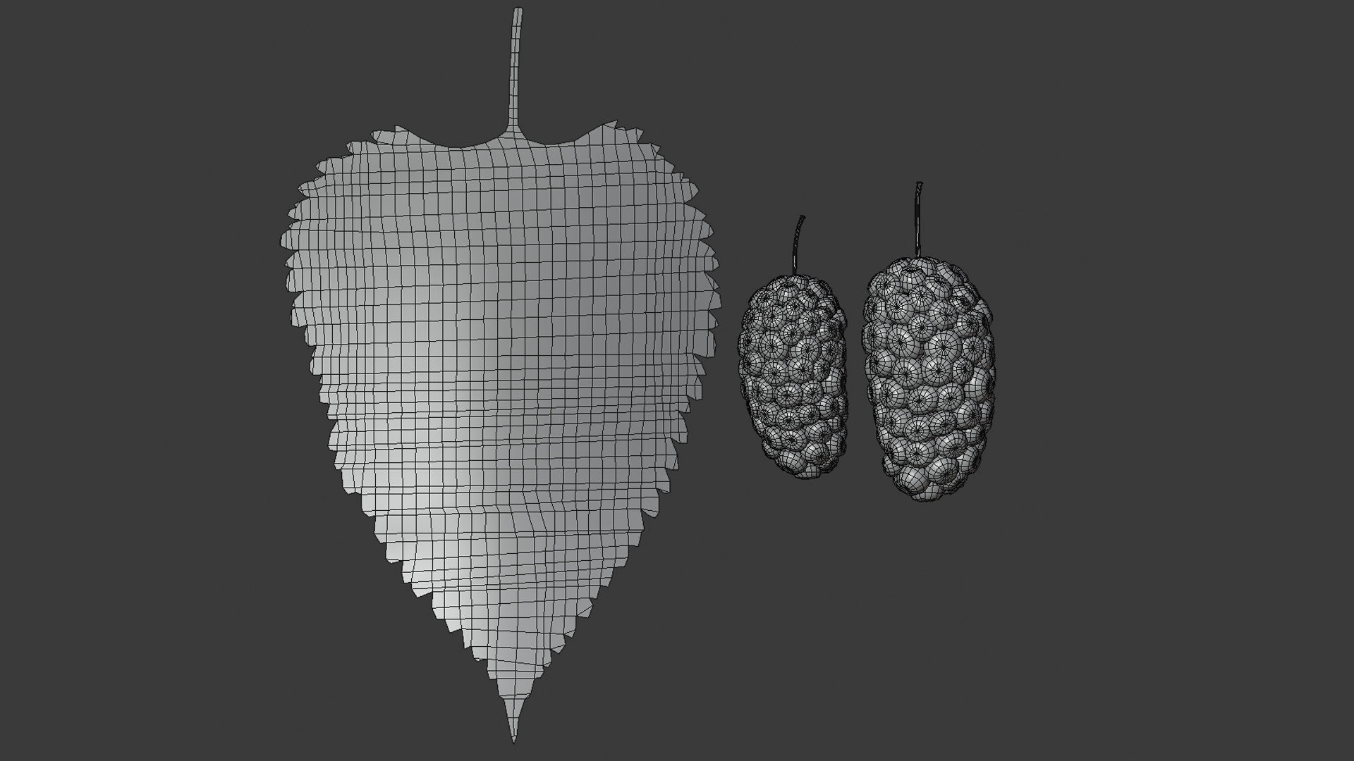 Mulberry 3D Model two berries on leaf 3D model_5