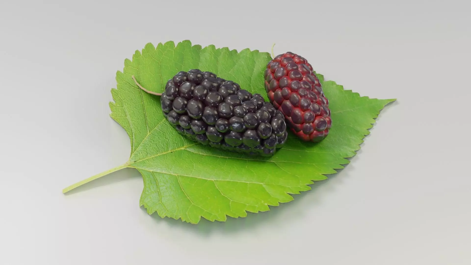 Mulberry 3D Model two berries on leaf 3D model_0