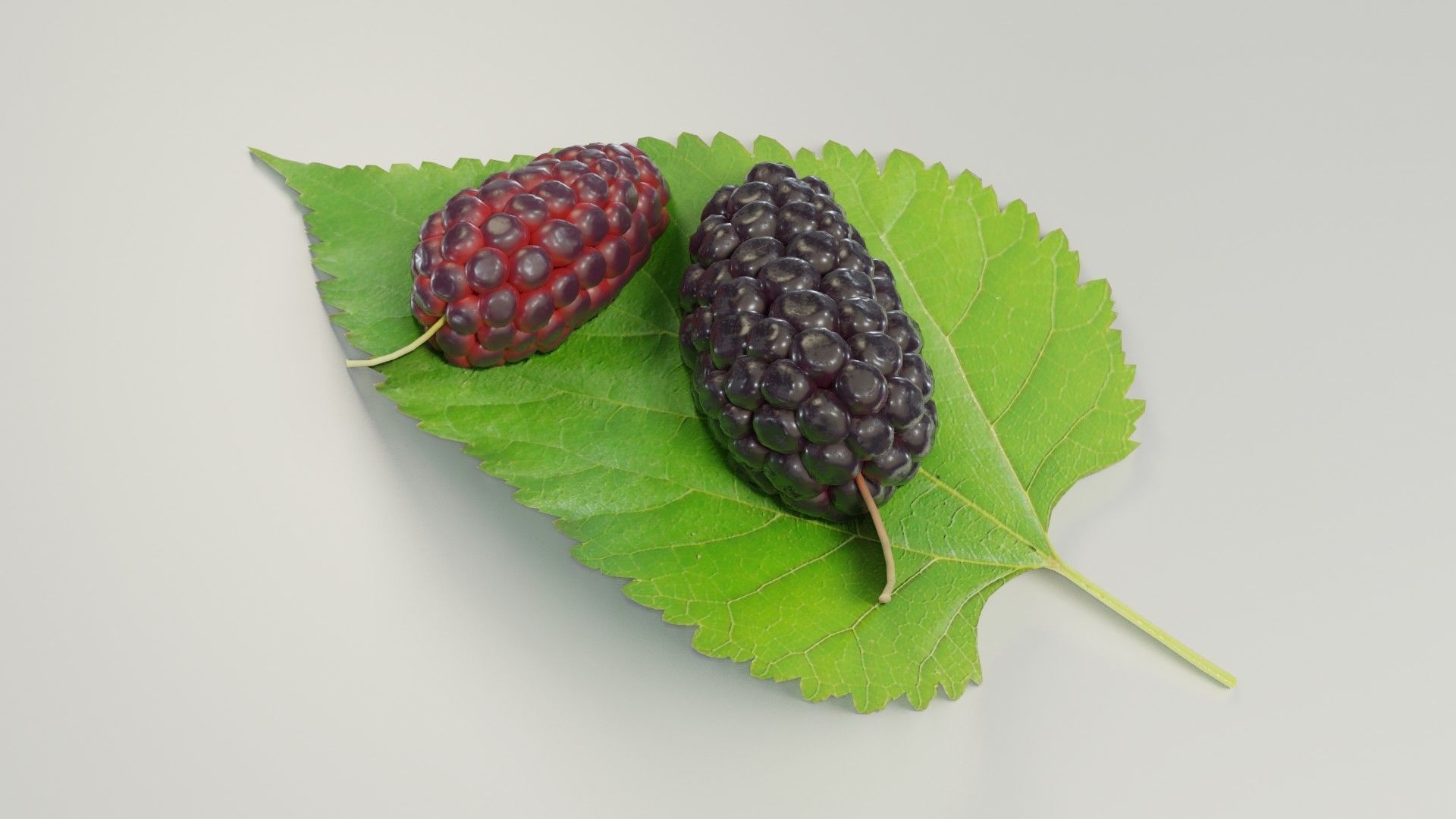 Mulberry 3D Model two berries on leaf 3D model_3