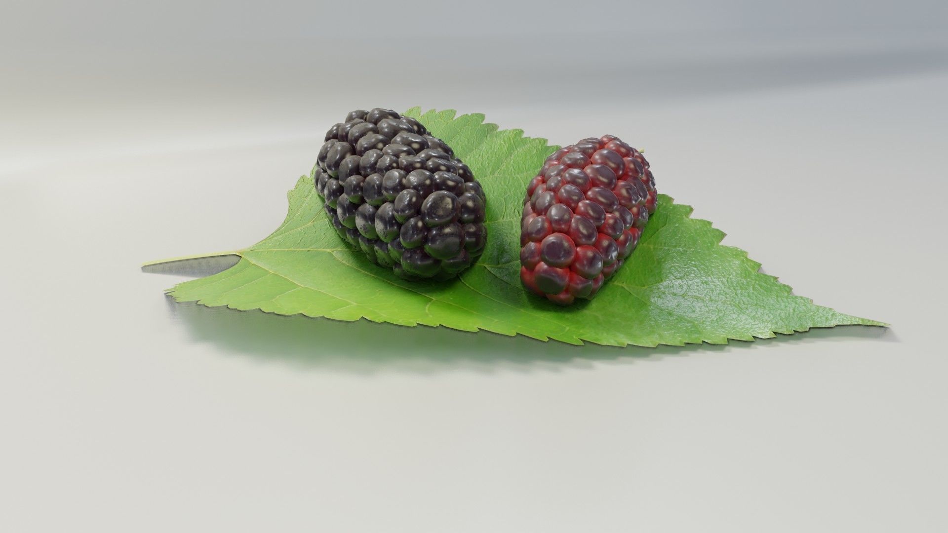 Mulberry 3D Model two berries on leaf 3D model_4