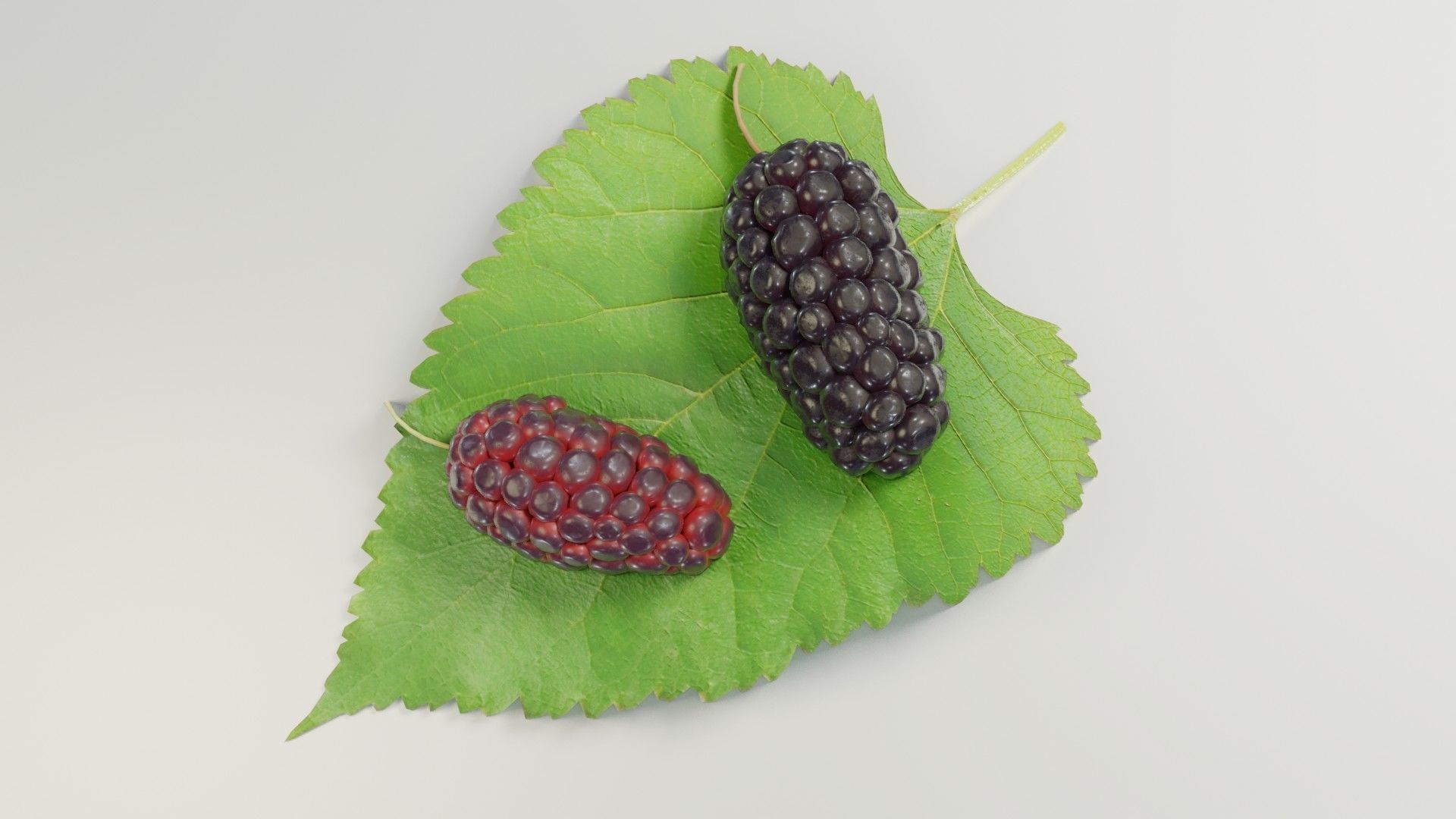 Mulberry 3D Model two berries on leaf 3D model_25