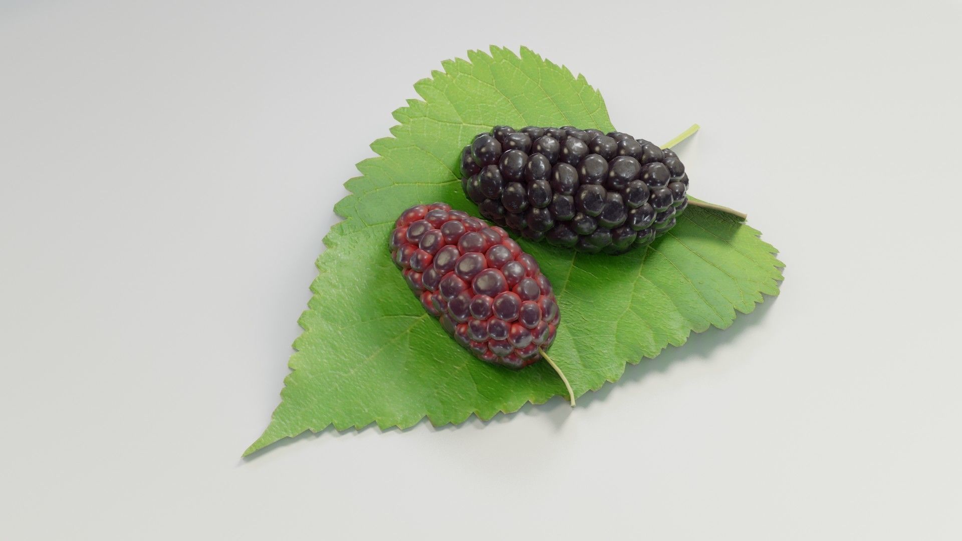 Mulberry 3D Model two berries on leaf 3D model_10