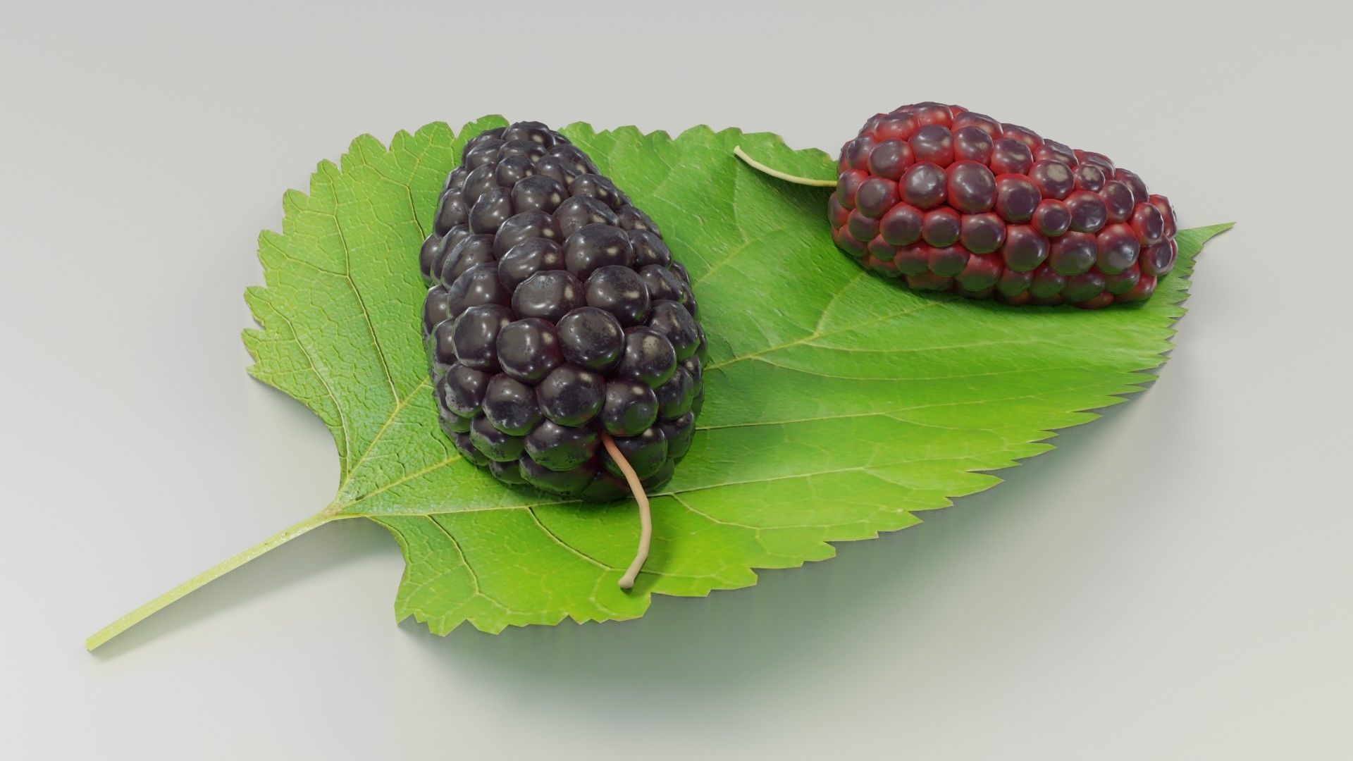 Mulberry 3D Model two berries on leaf 3D model_21