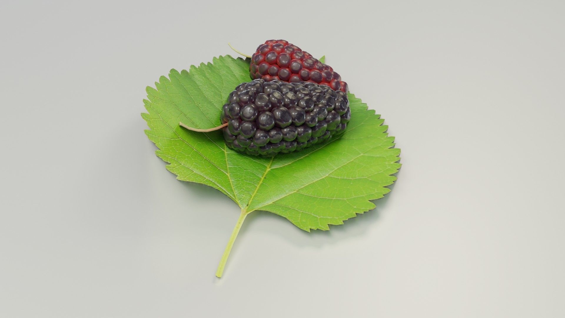 Mulberry 3D Model two berries on leaf 3D model_7