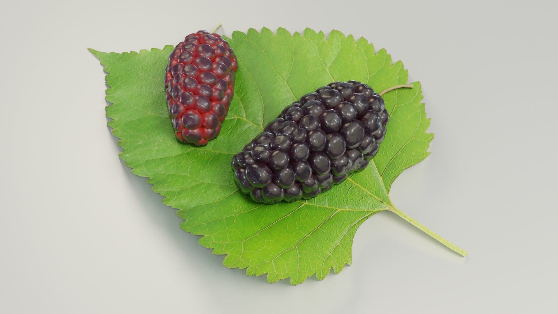 Mulberry 3D Model two berries on leaf 3D model_28