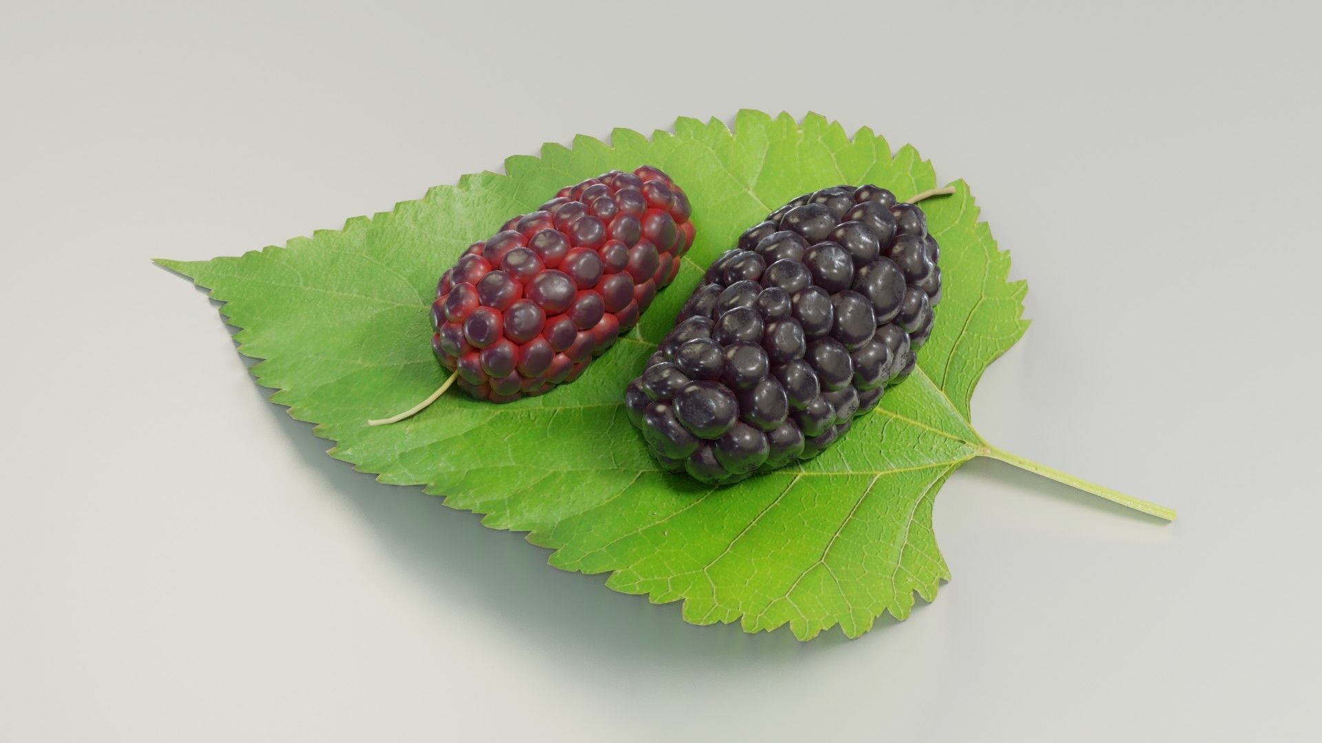 Mulberry 3D Model two berries on leaf 3D model_19