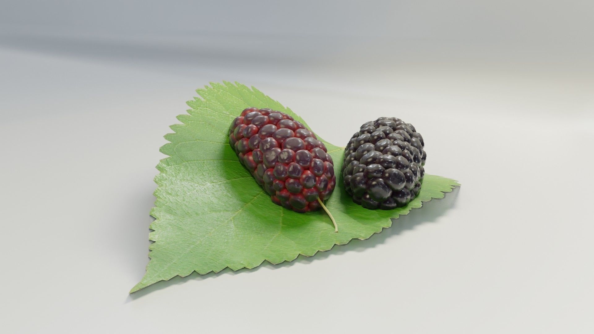 Mulberry 3D Model two berries on leaf 3D model_12