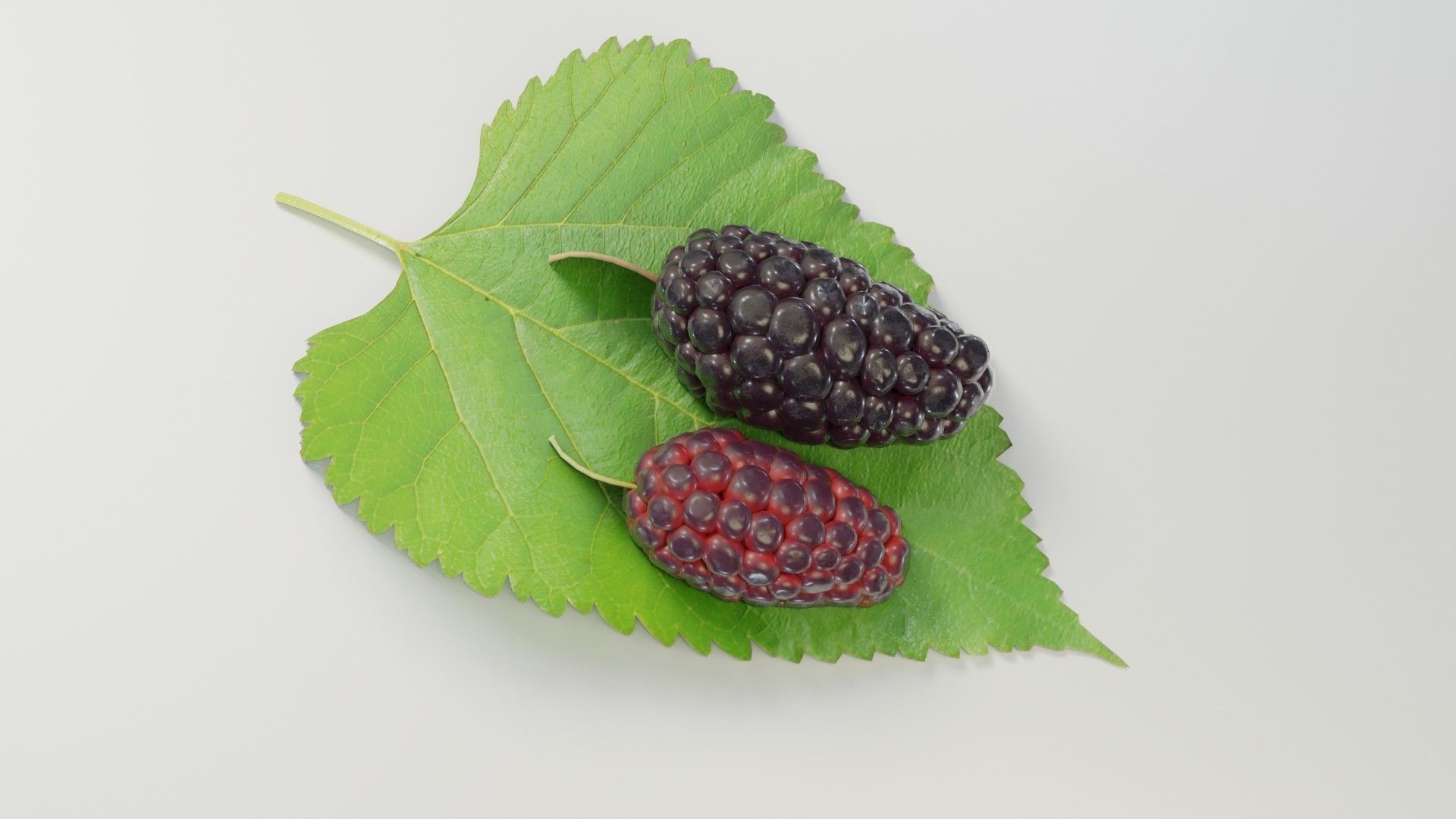 Mulberry 3D Model two berries on leaf 3D model_30