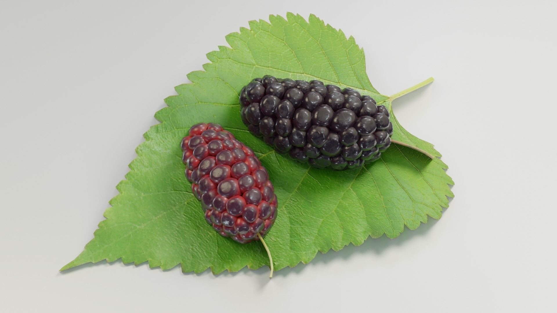 Mulberry 3D Model two berries on leaf 3D model_6