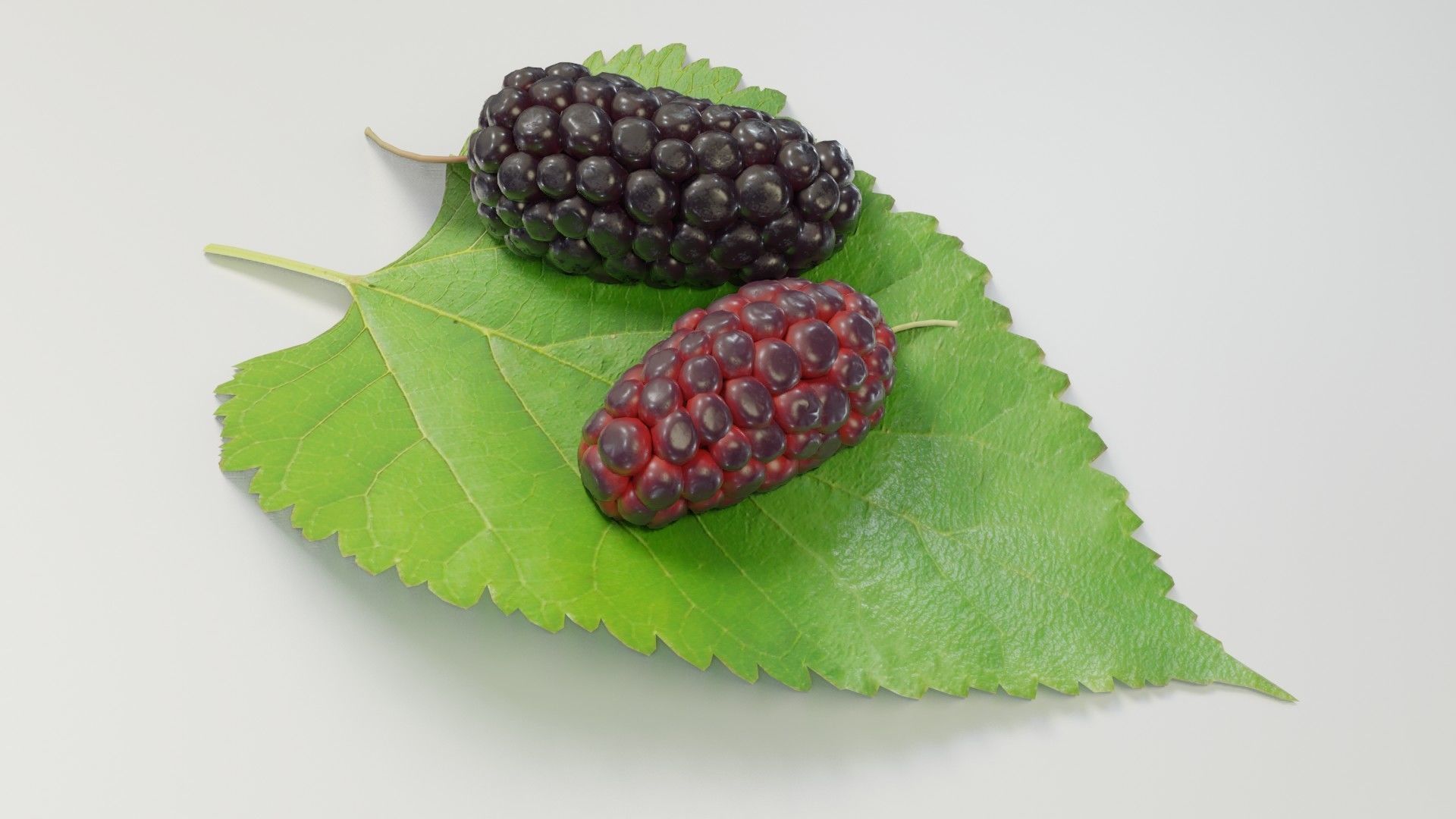 Mulberry 3D Model two berries on leaf 3D model_16