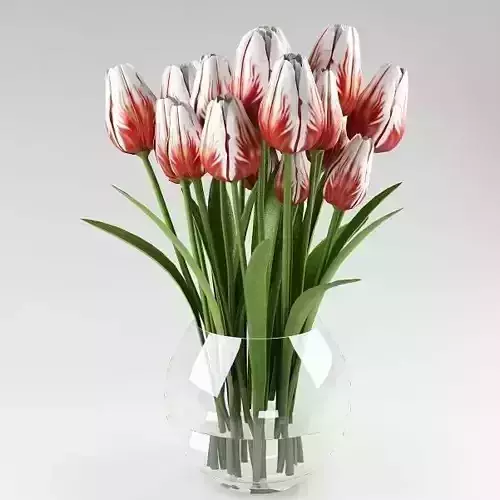 Ornamental plant 12 3D model