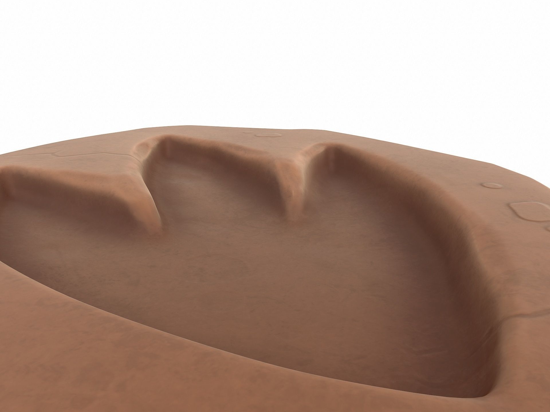 Dinosaur Footprint Fossil 3D model_4