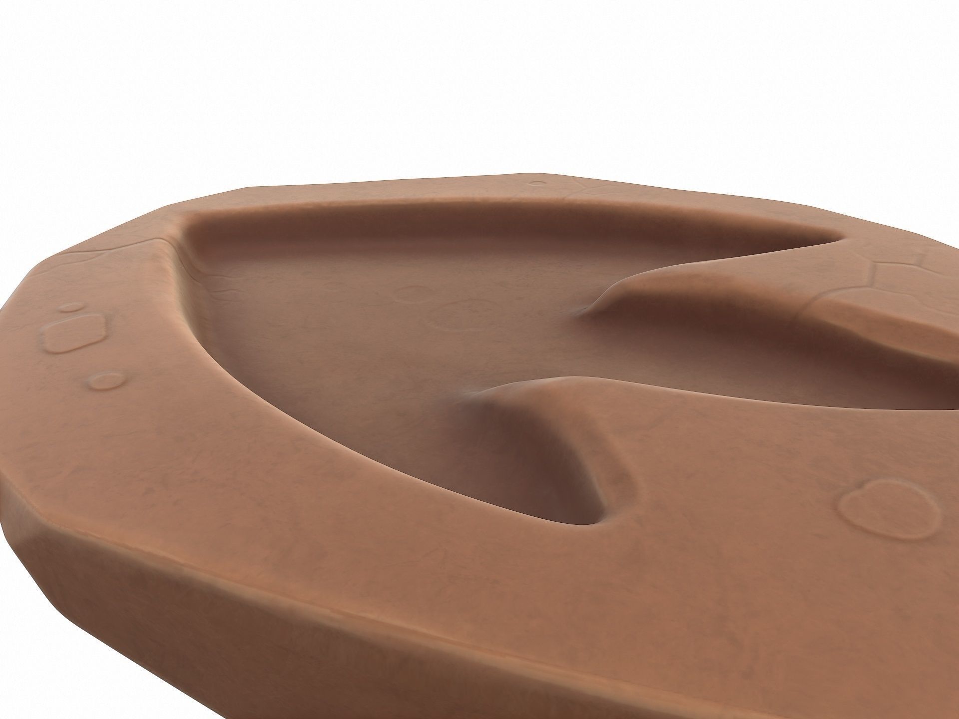 Dinosaur Footprint Fossil 3D model_5