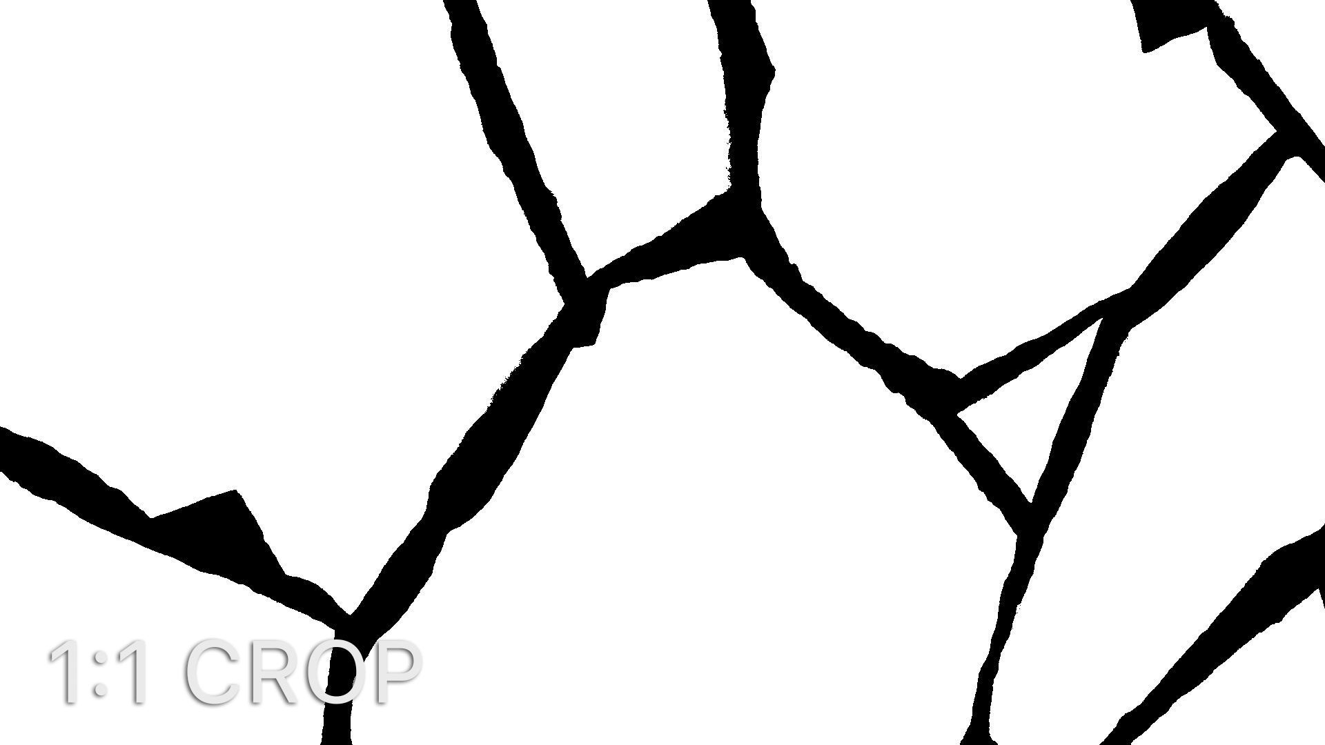 Natural stone pavement texture Texture_8