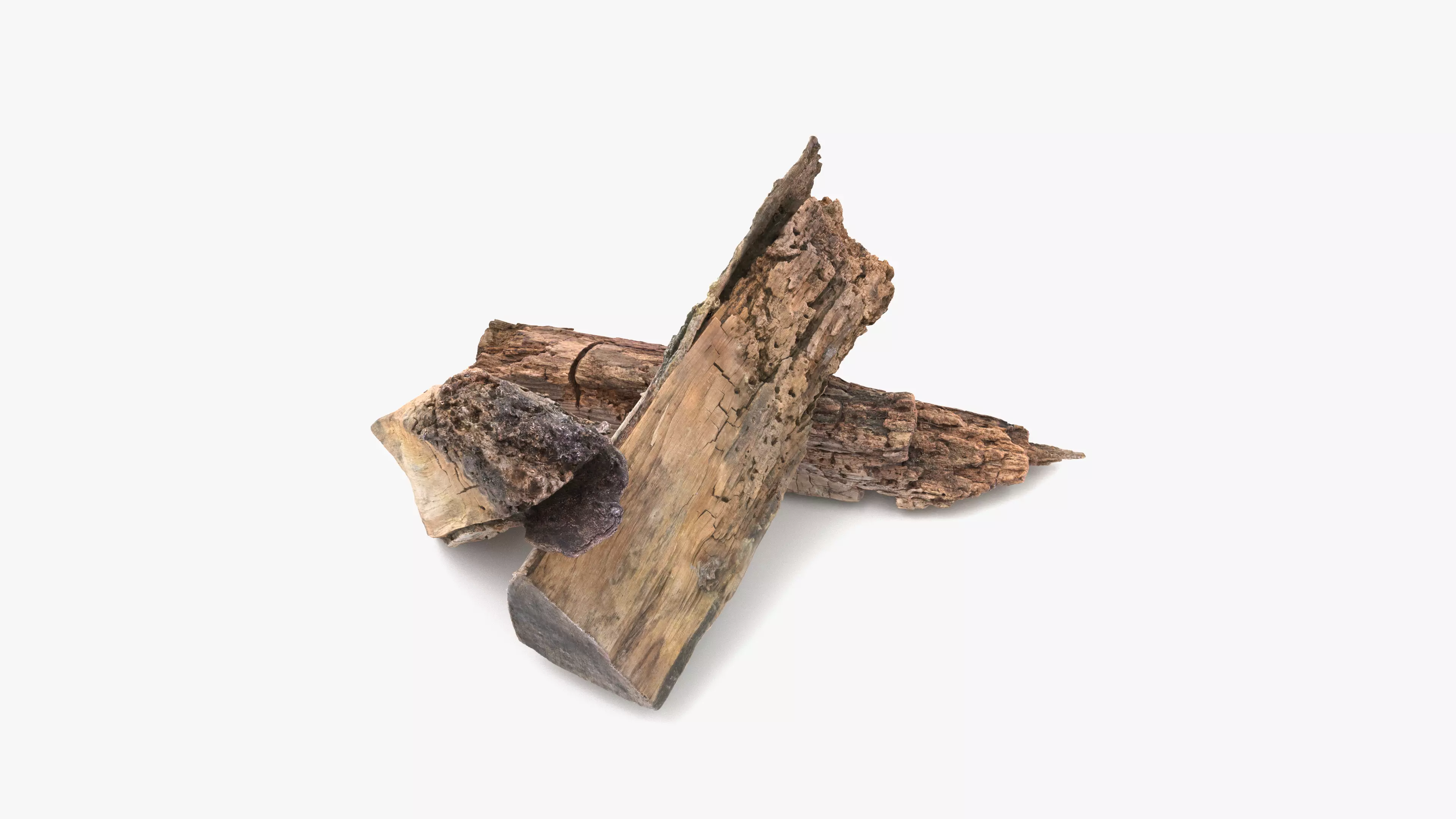 Logs Rotten Low-poly 3D model