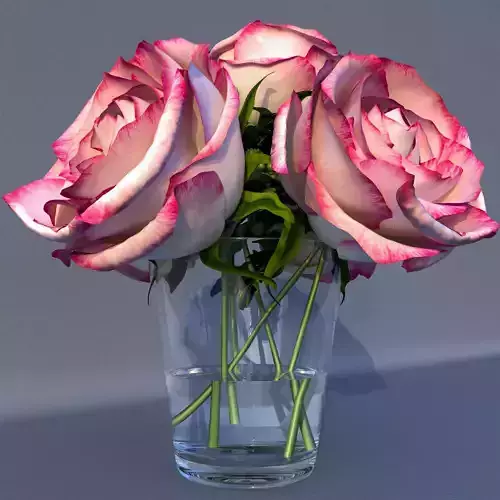  Roses in a vase