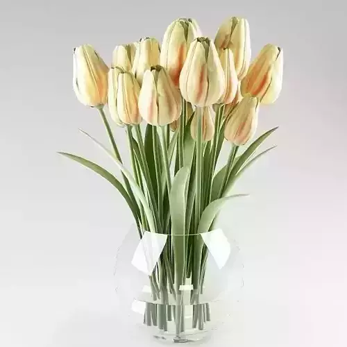 Ornamental plant 13 yellow-orange  tulips