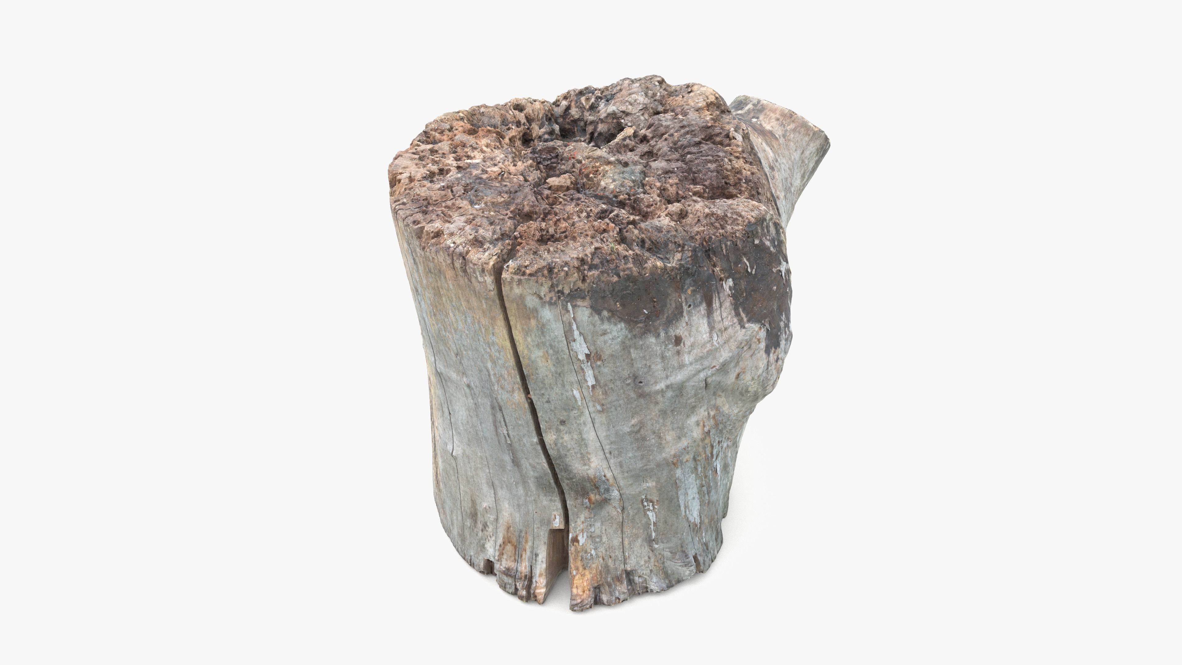 Log Round with Branch Low-poly 3D model_4