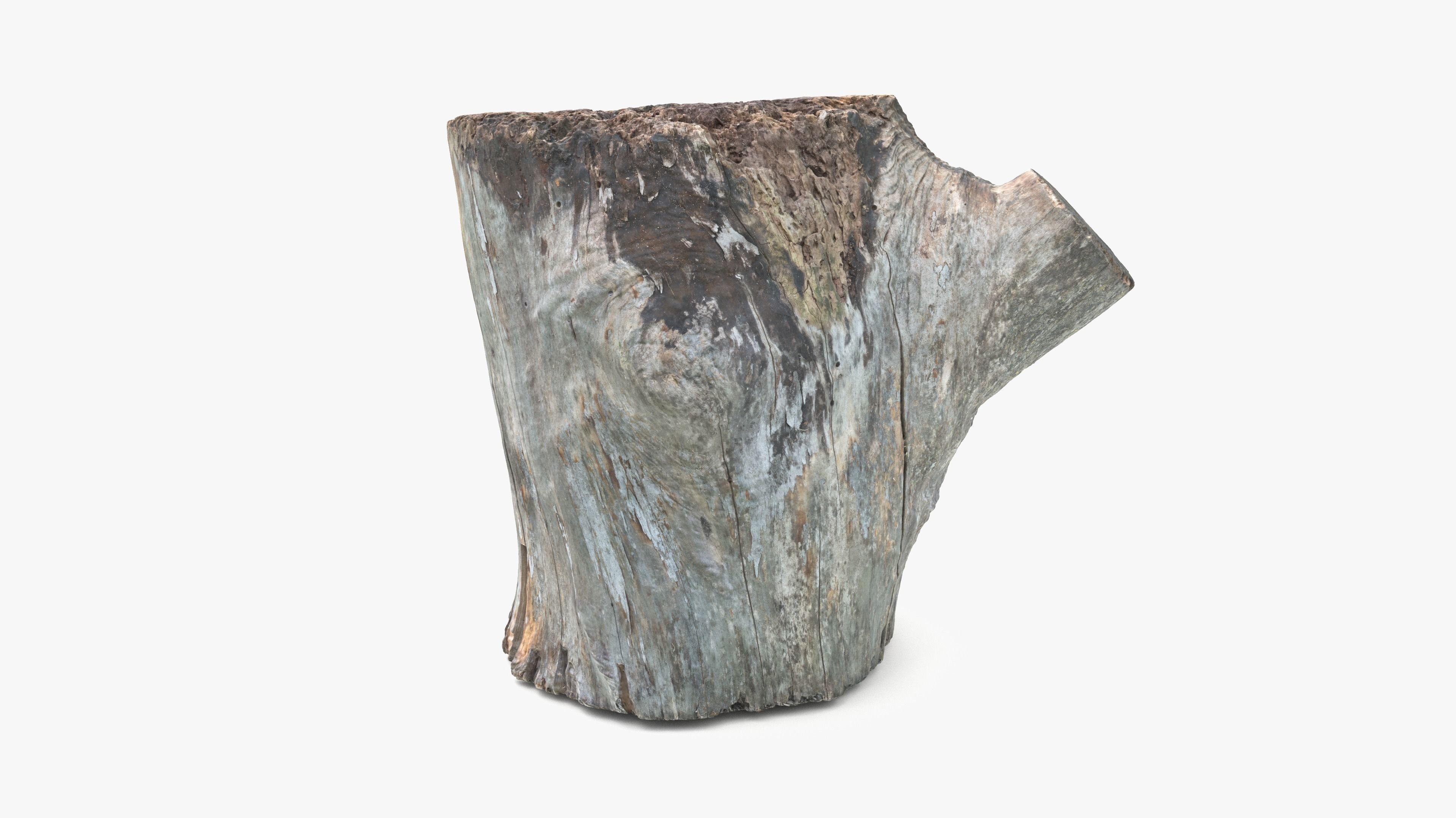 Log Round with Branch Low-poly 3D model_7