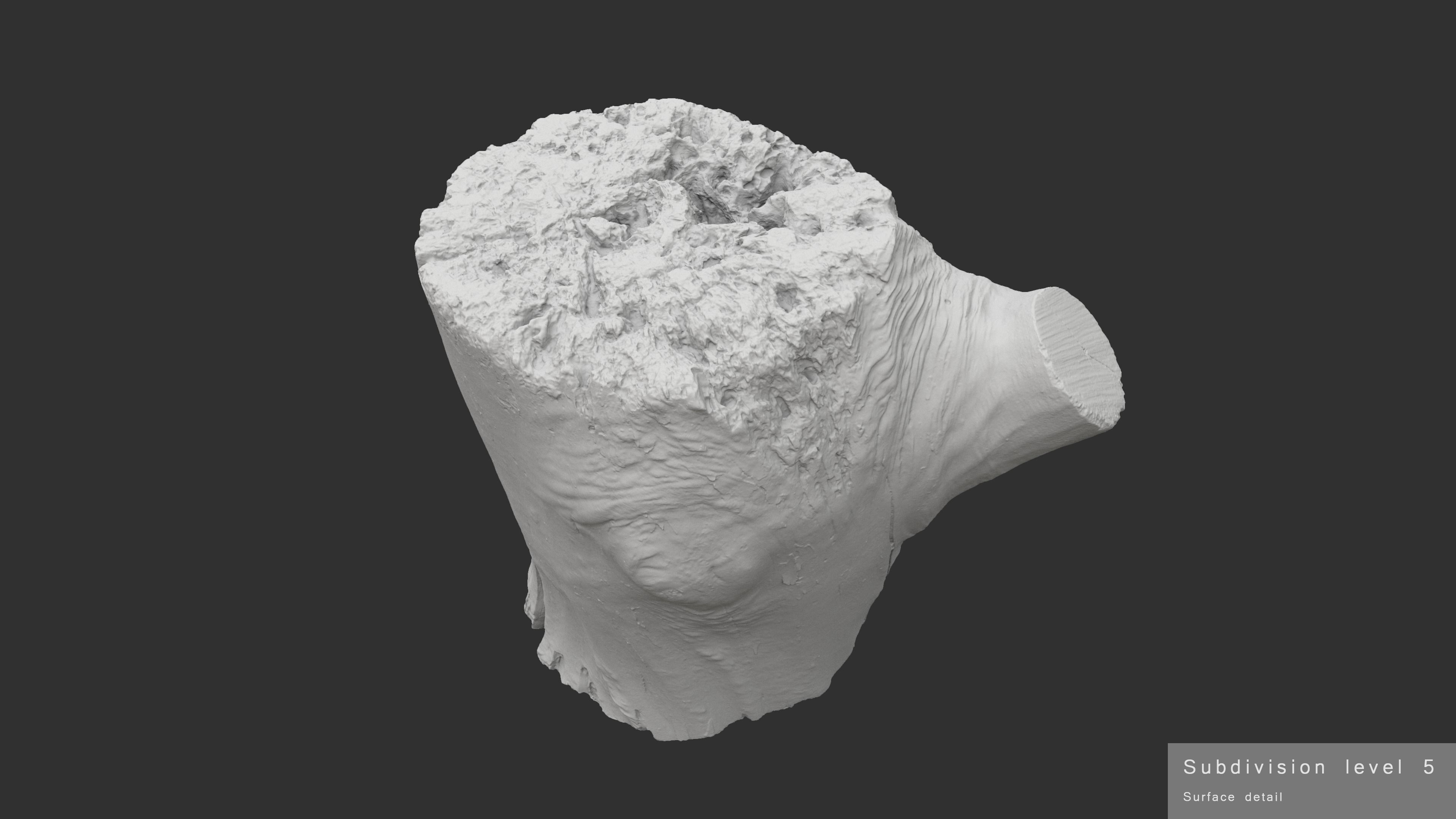 Log Round with Branch Low-poly 3D model_18