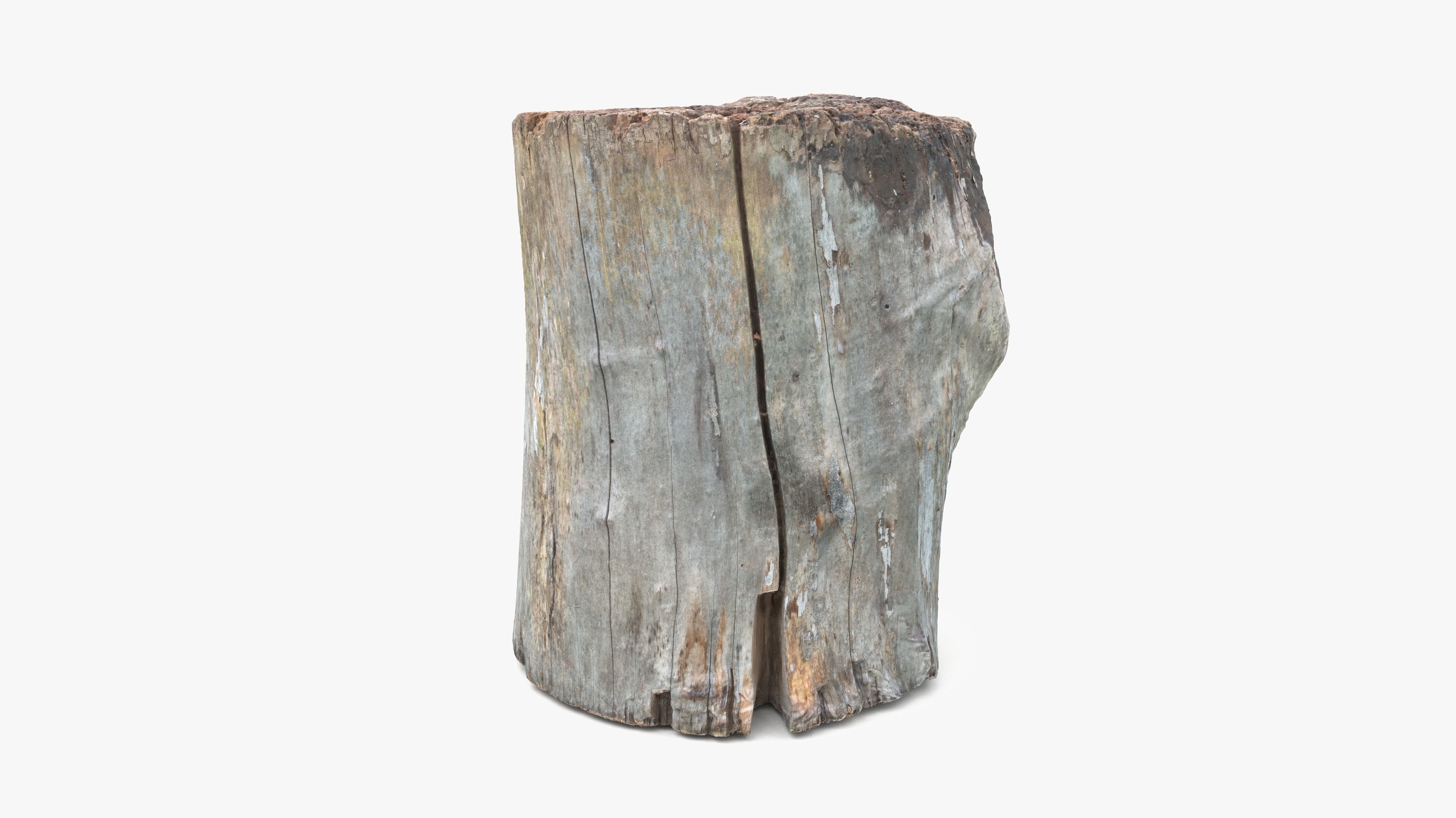 Log Round with Branch Low-poly 3D model_8