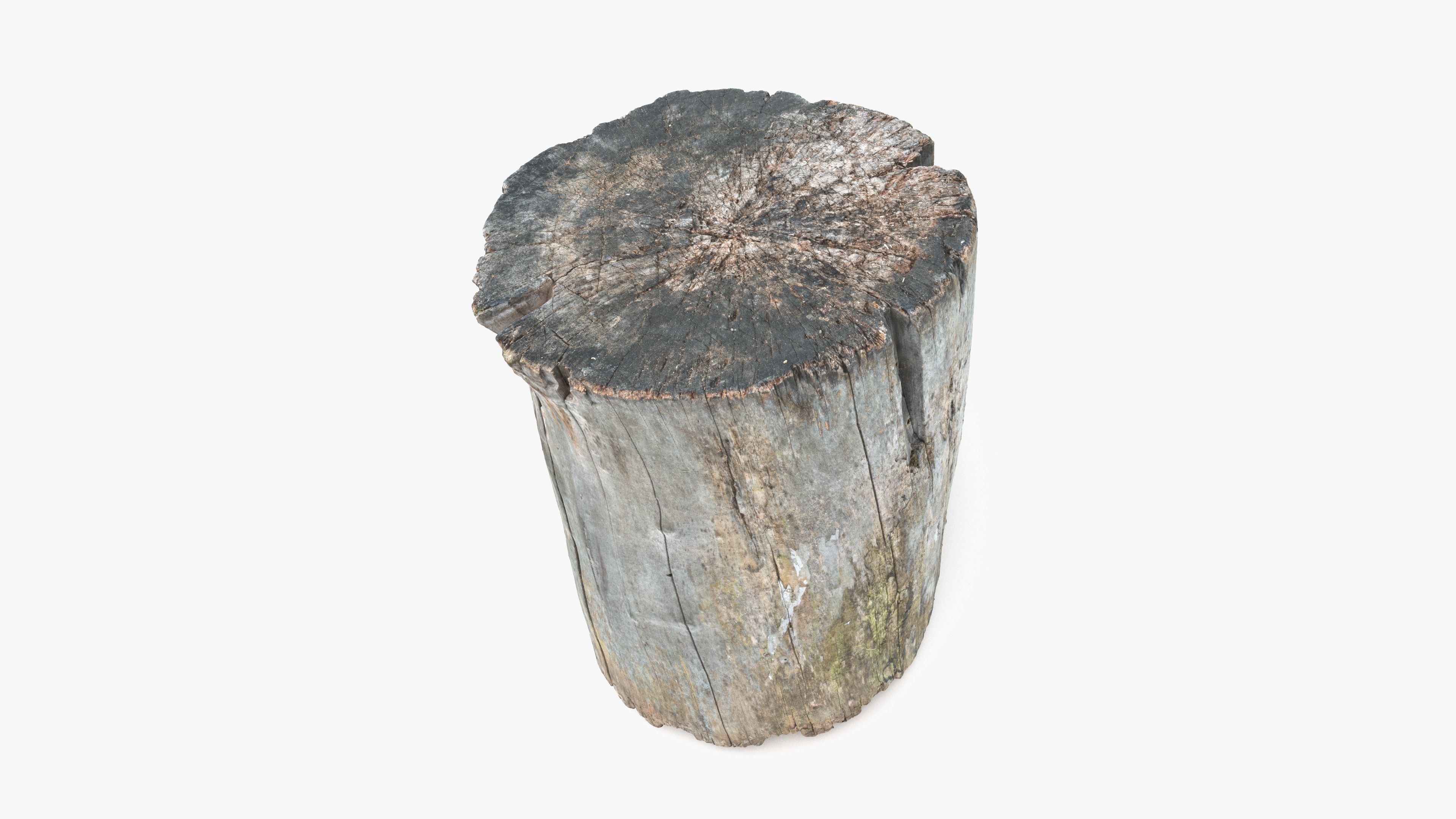 Log Round with Branch Low-poly 3D model_11