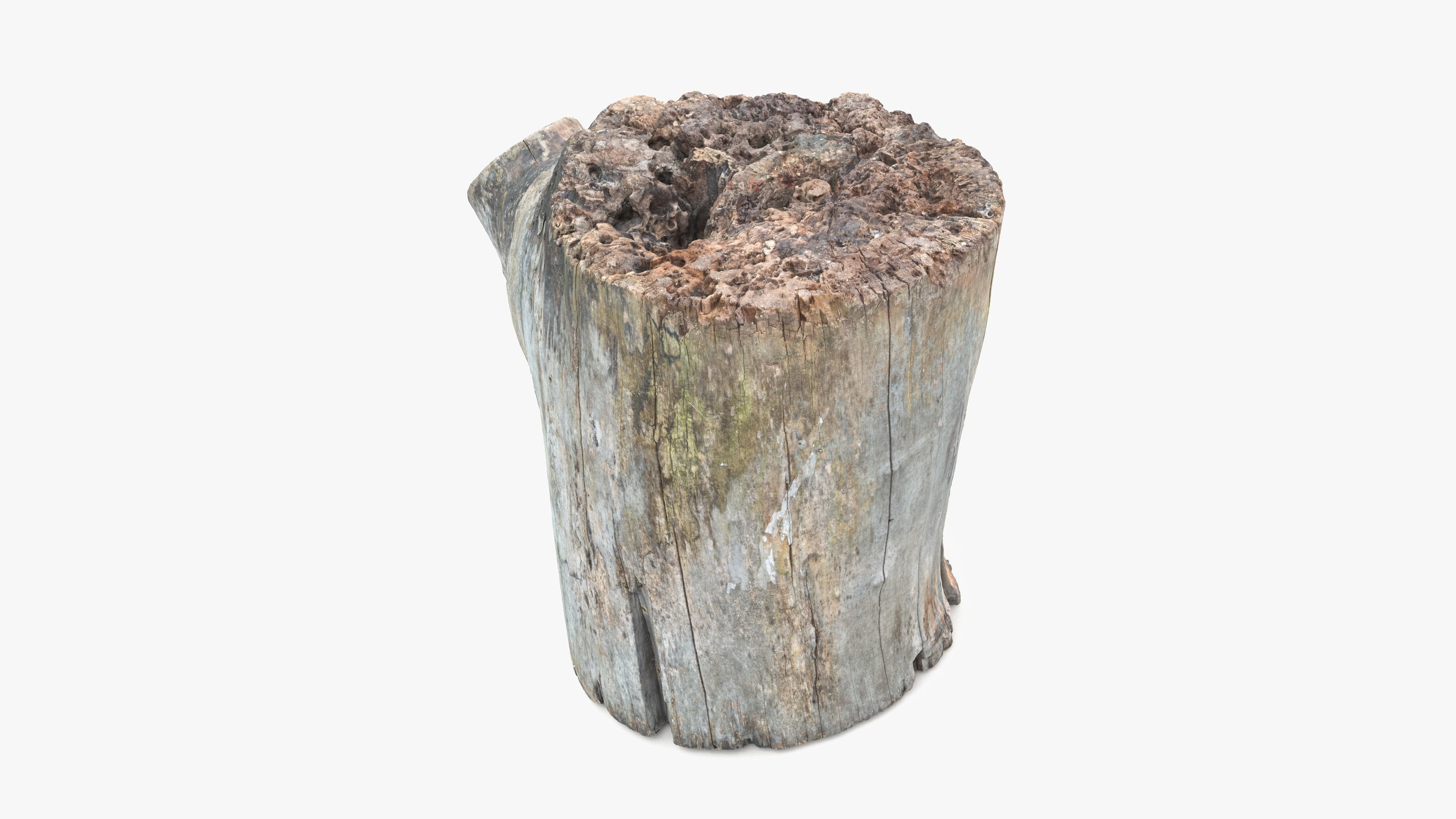Log Round with Branch Low-poly 3D model_5