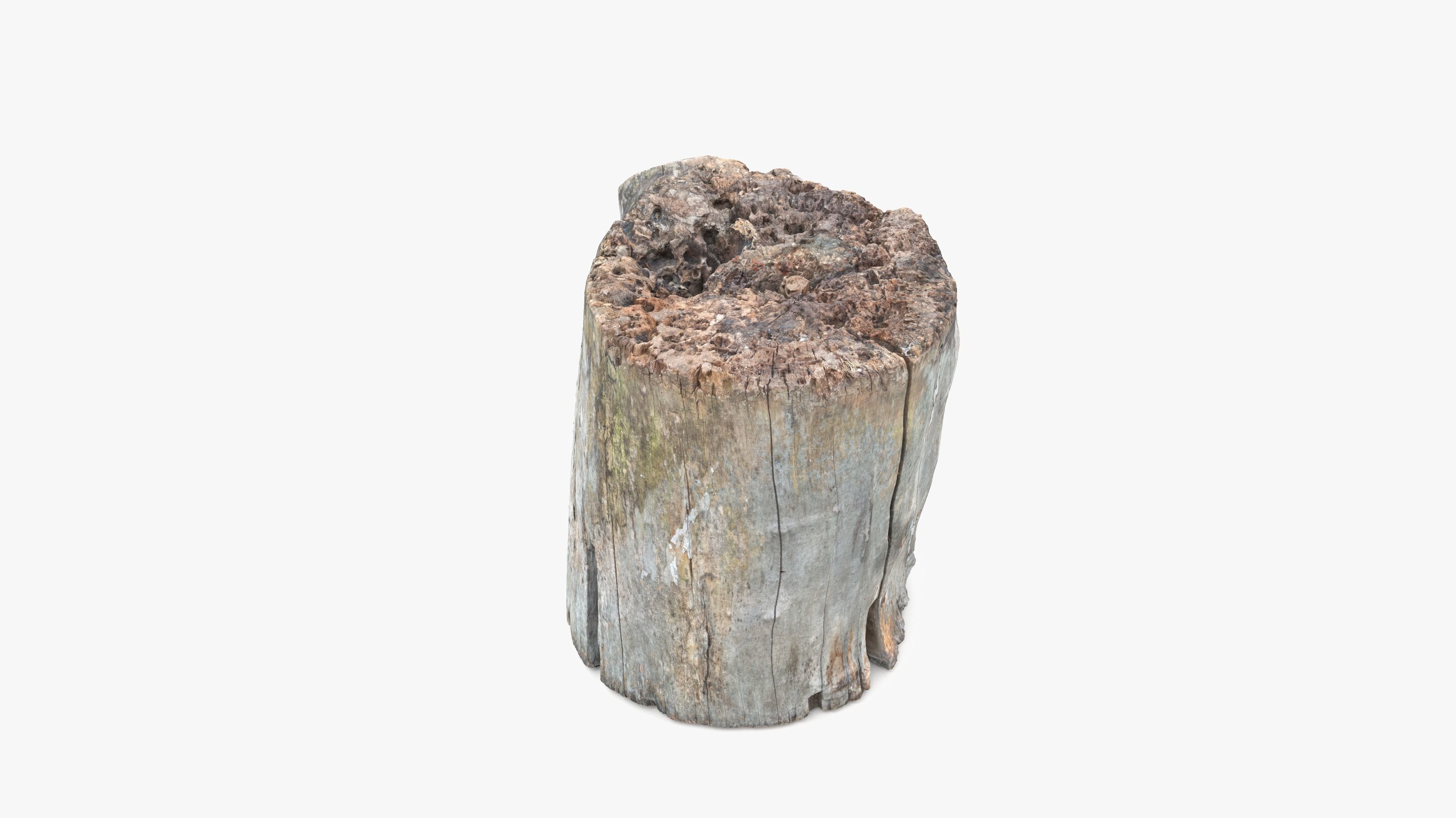 Log Round with Branch Low-poly 3D model_17