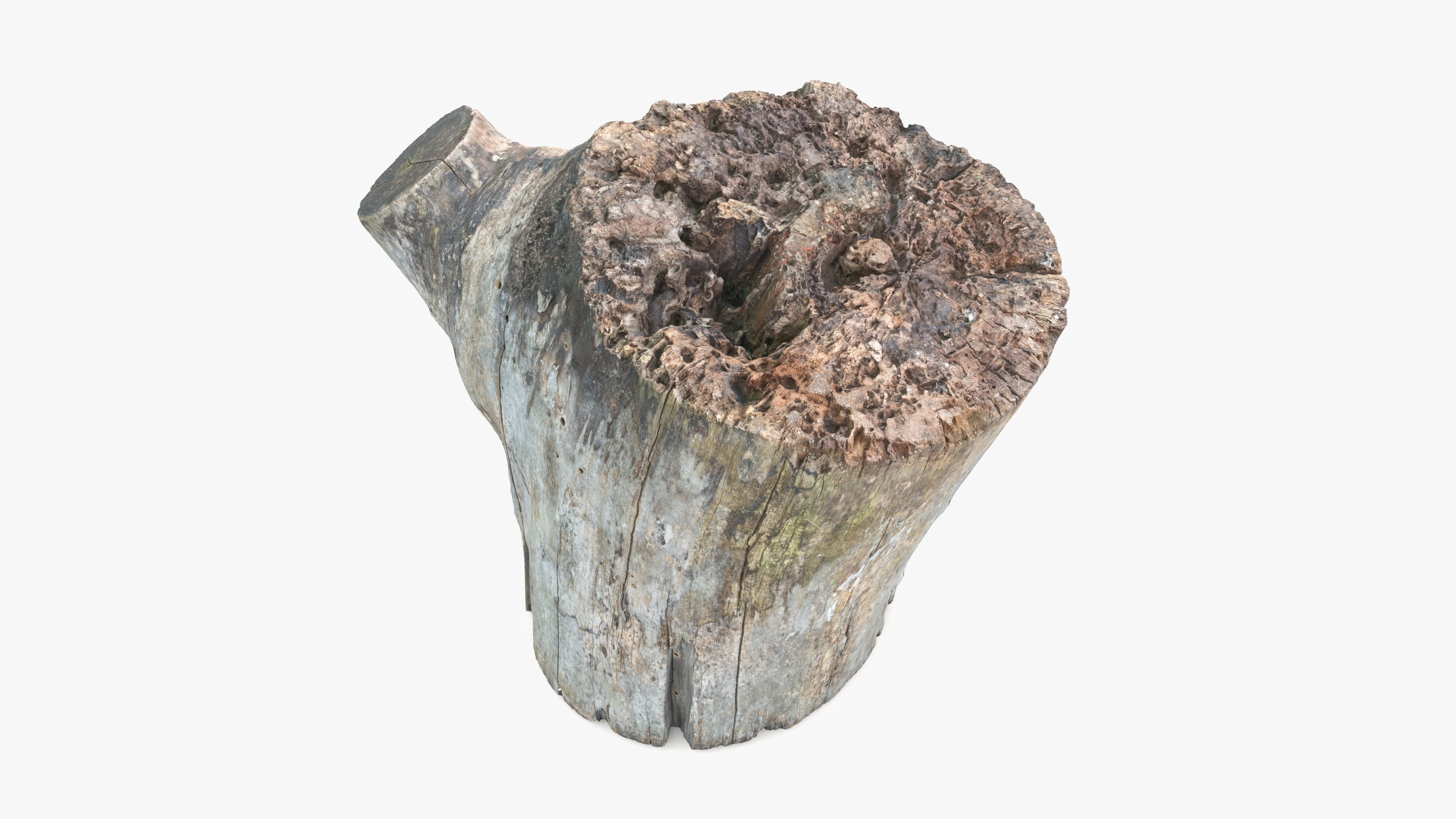 Log Round with Branch Low-poly 3D model_1