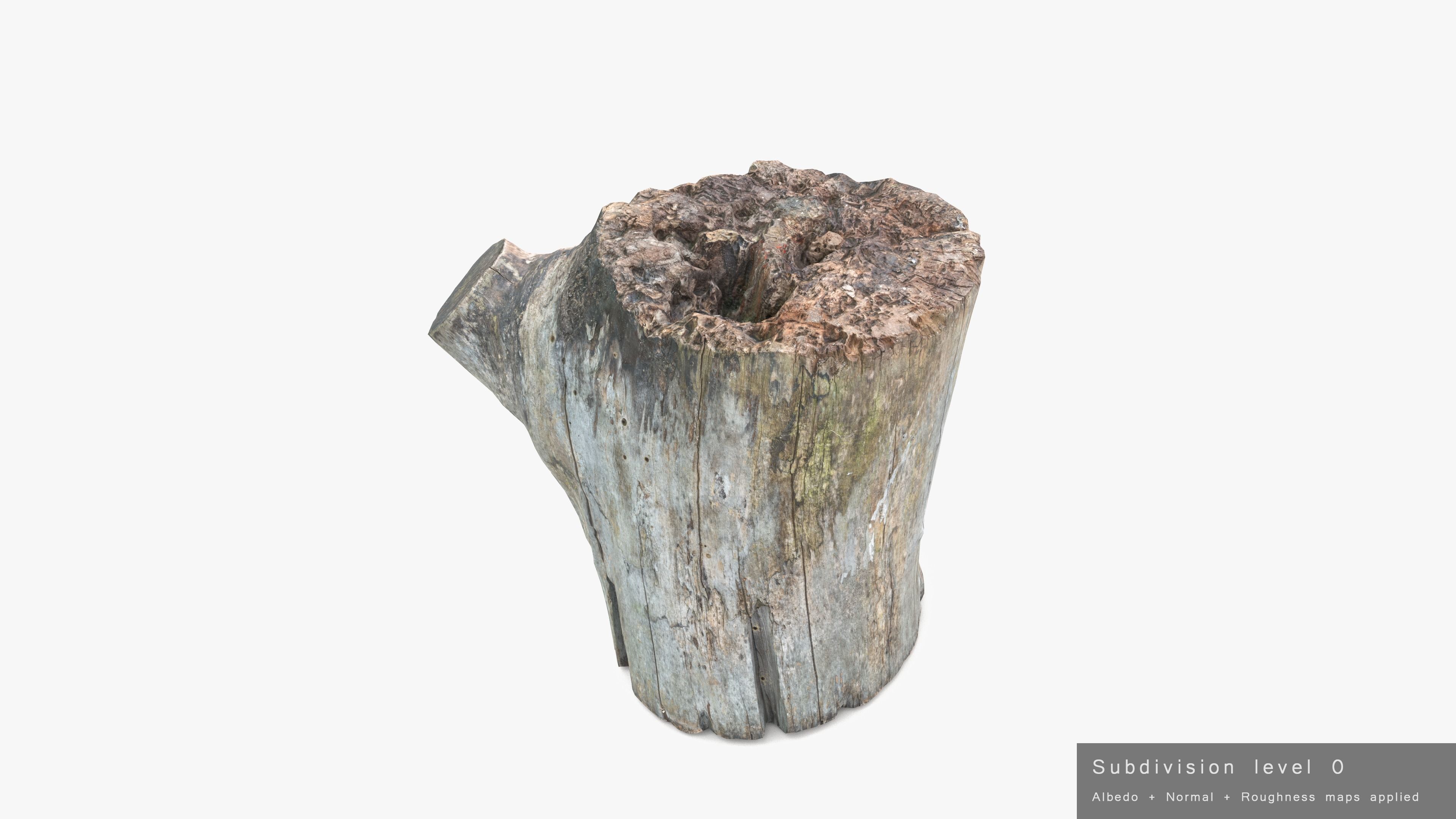 Log Round with Branch Low-poly 3D model_19