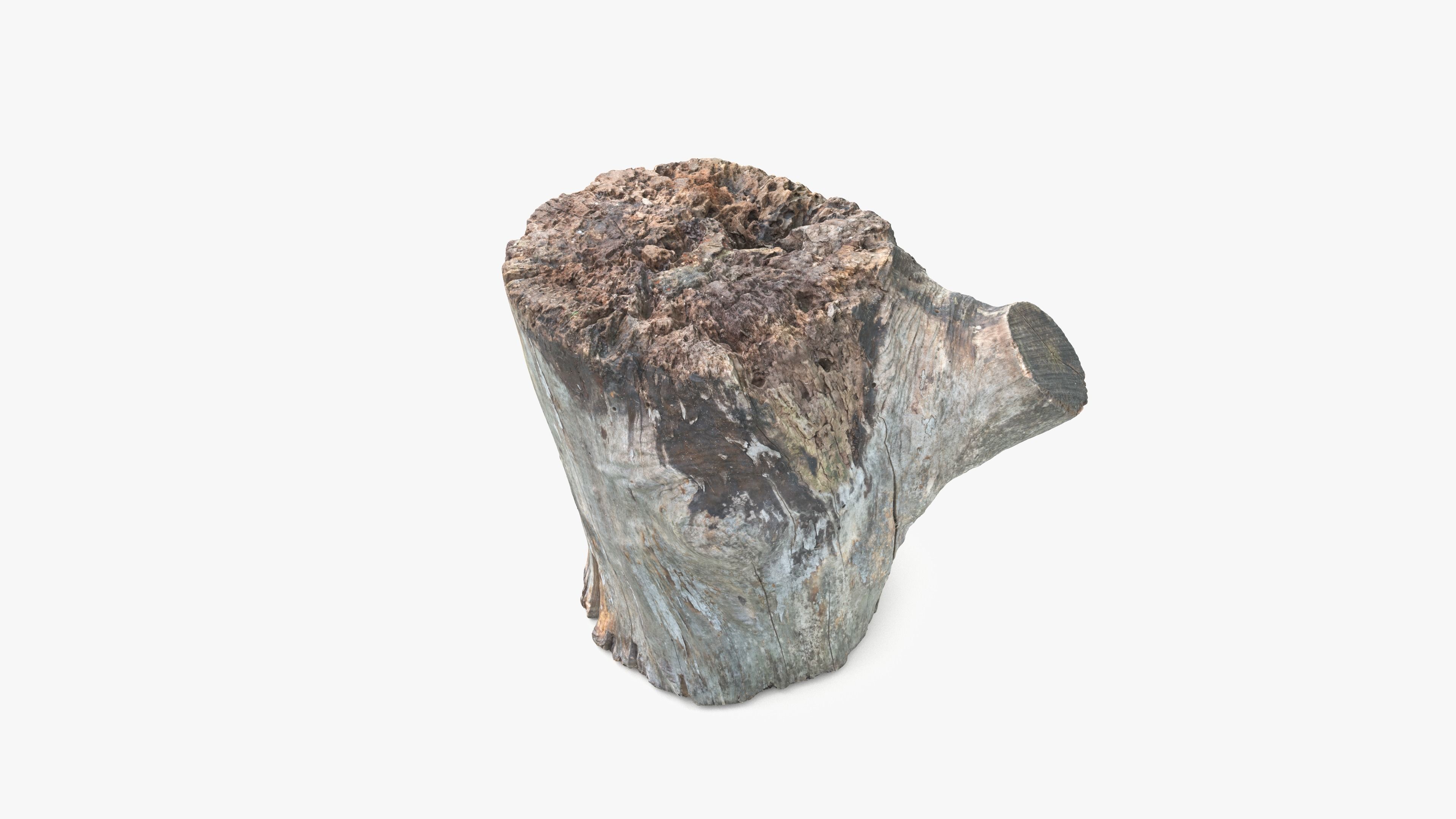 Log Round with Branch Low-poly 3D model_15