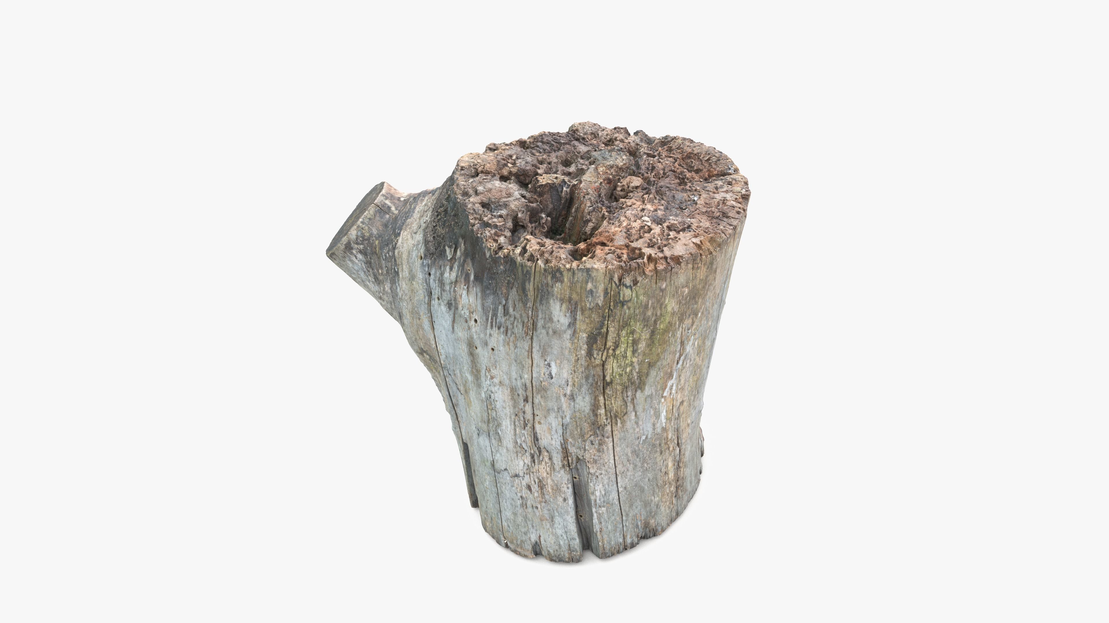 Log Round with Branch Low-poly 3D model_12