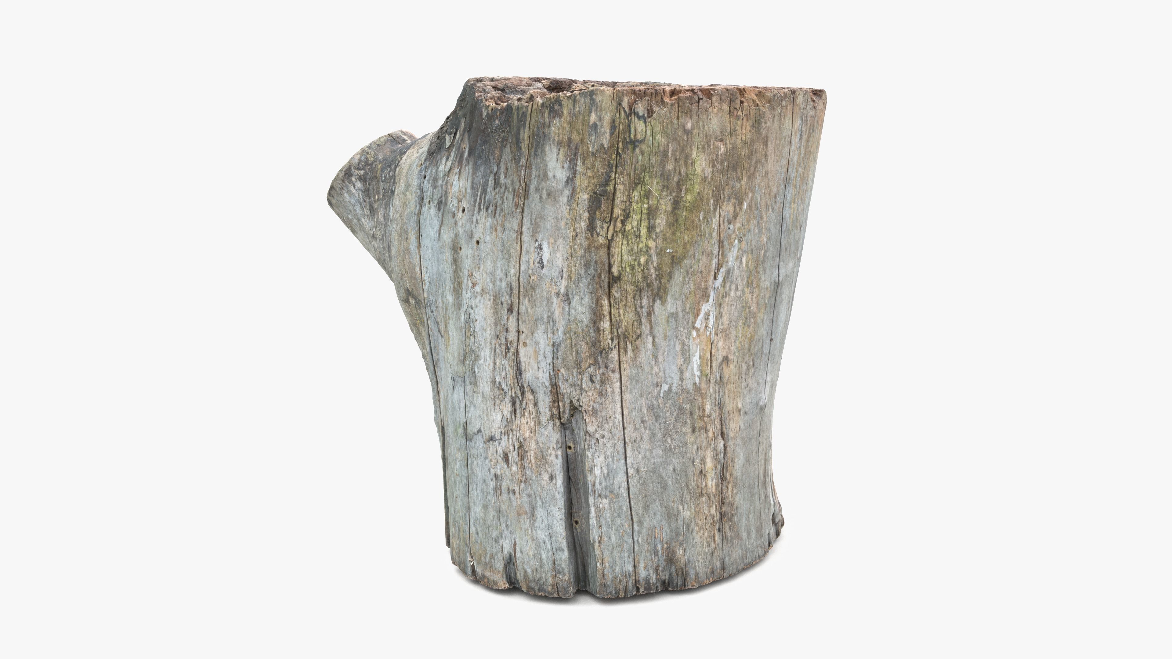 Log Round with Branch Low-poly 3D model_9