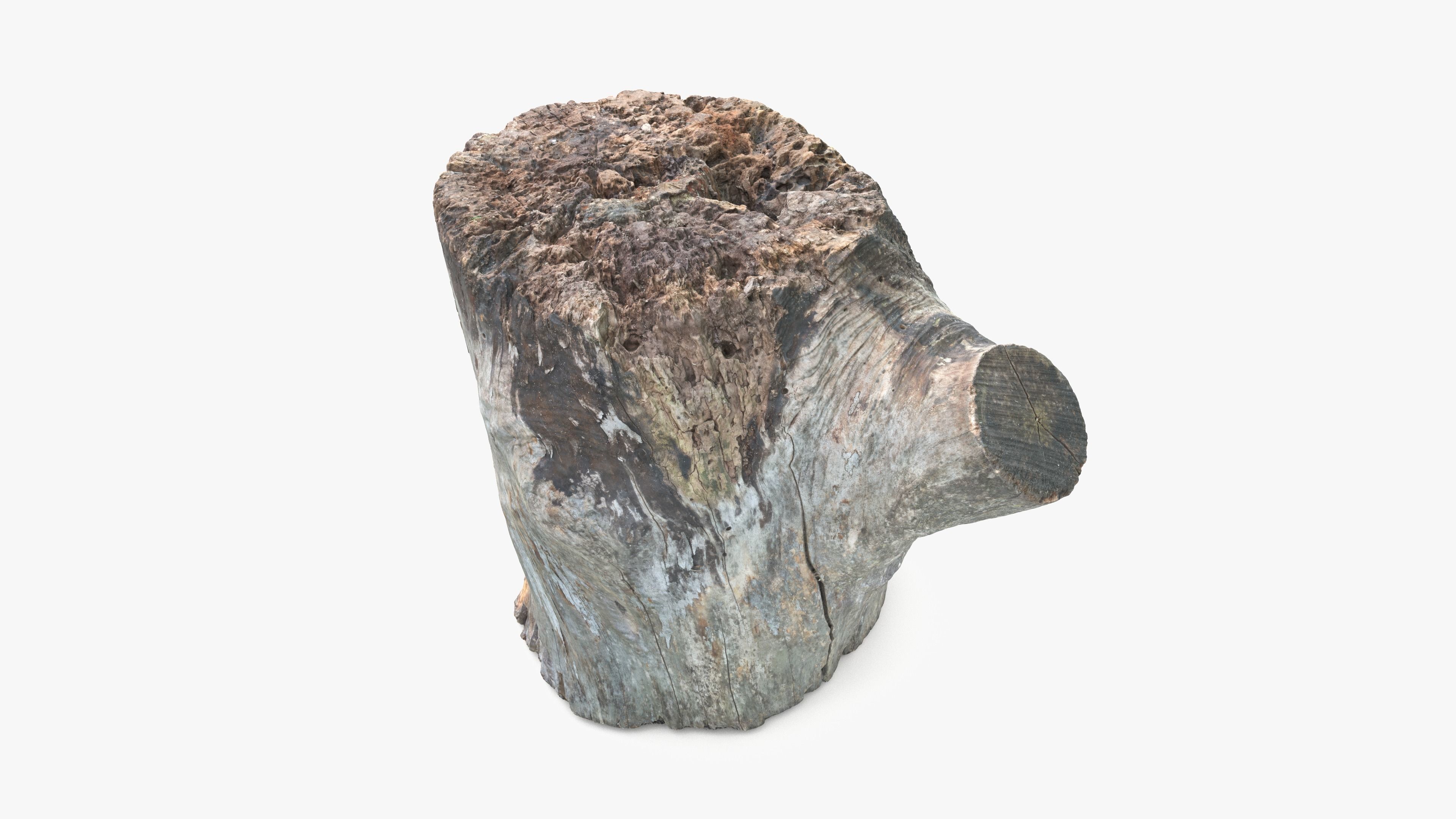 Log Round with Branch Low-poly 3D model_3
