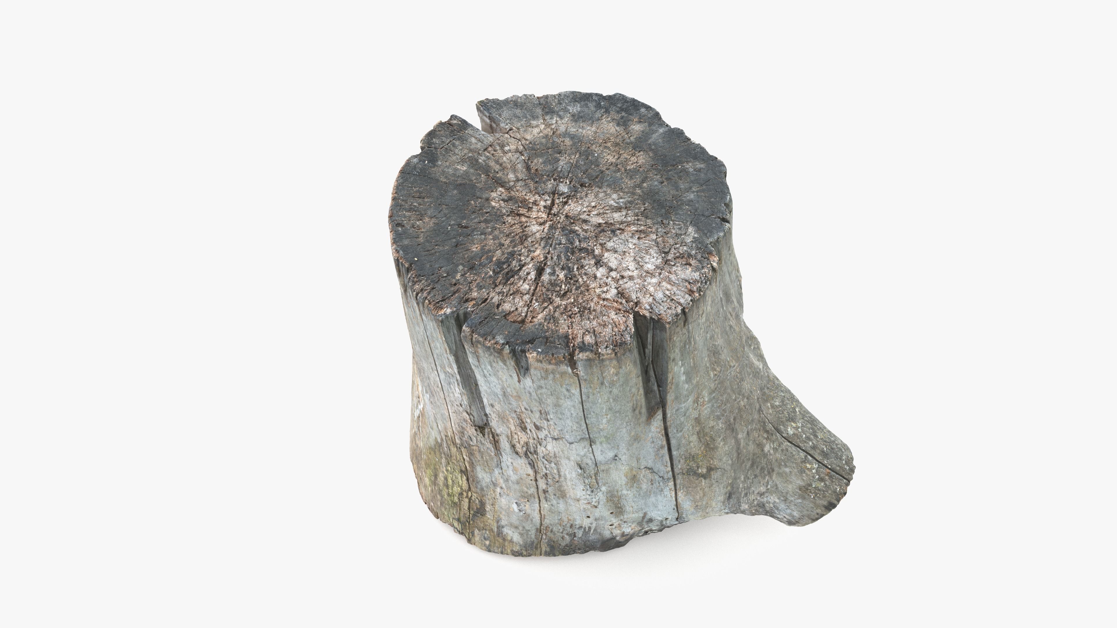 Log Round with Branch Low-poly 3D model_10