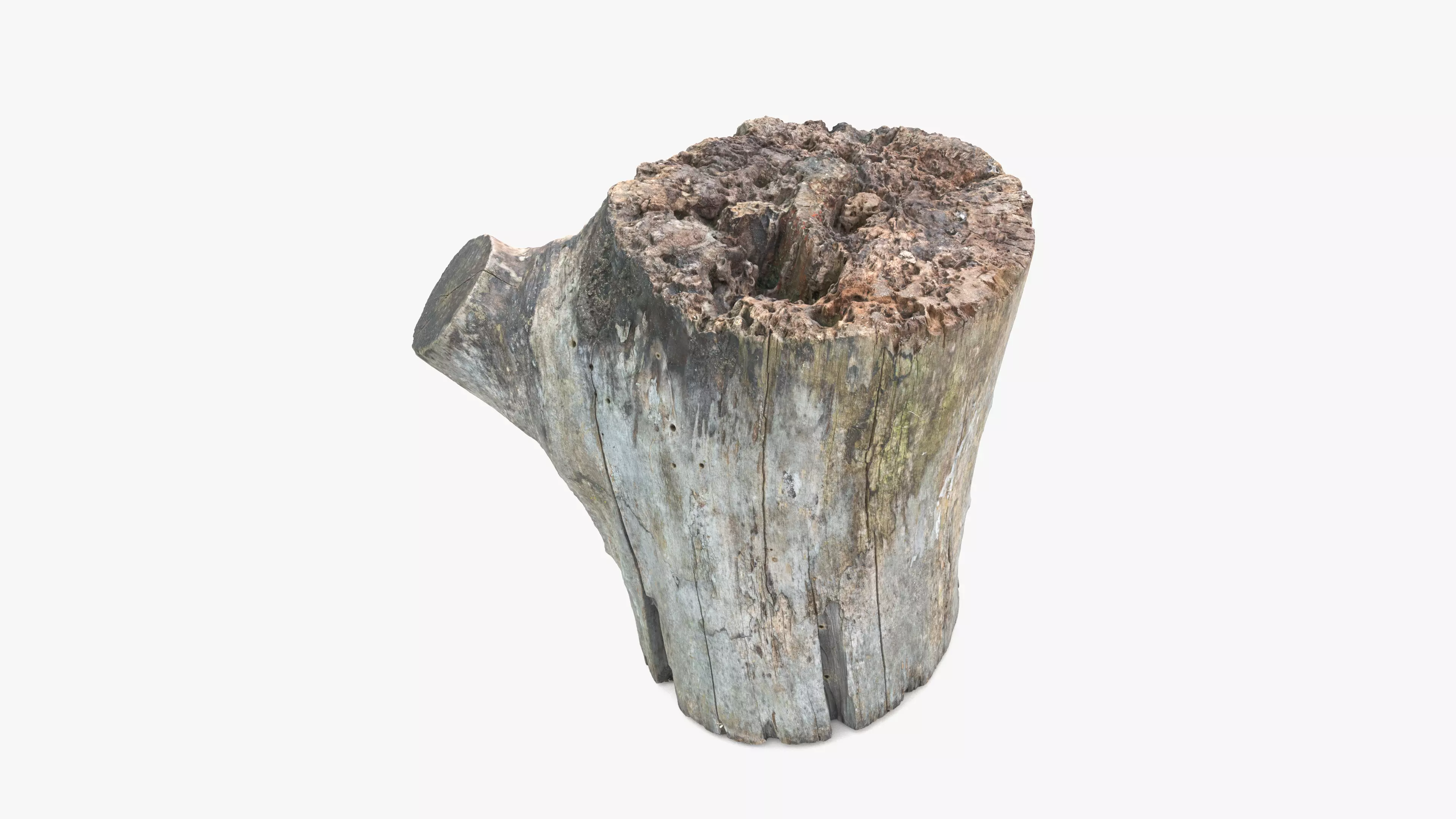 Log Round with Branch Low-poly 3D model_0