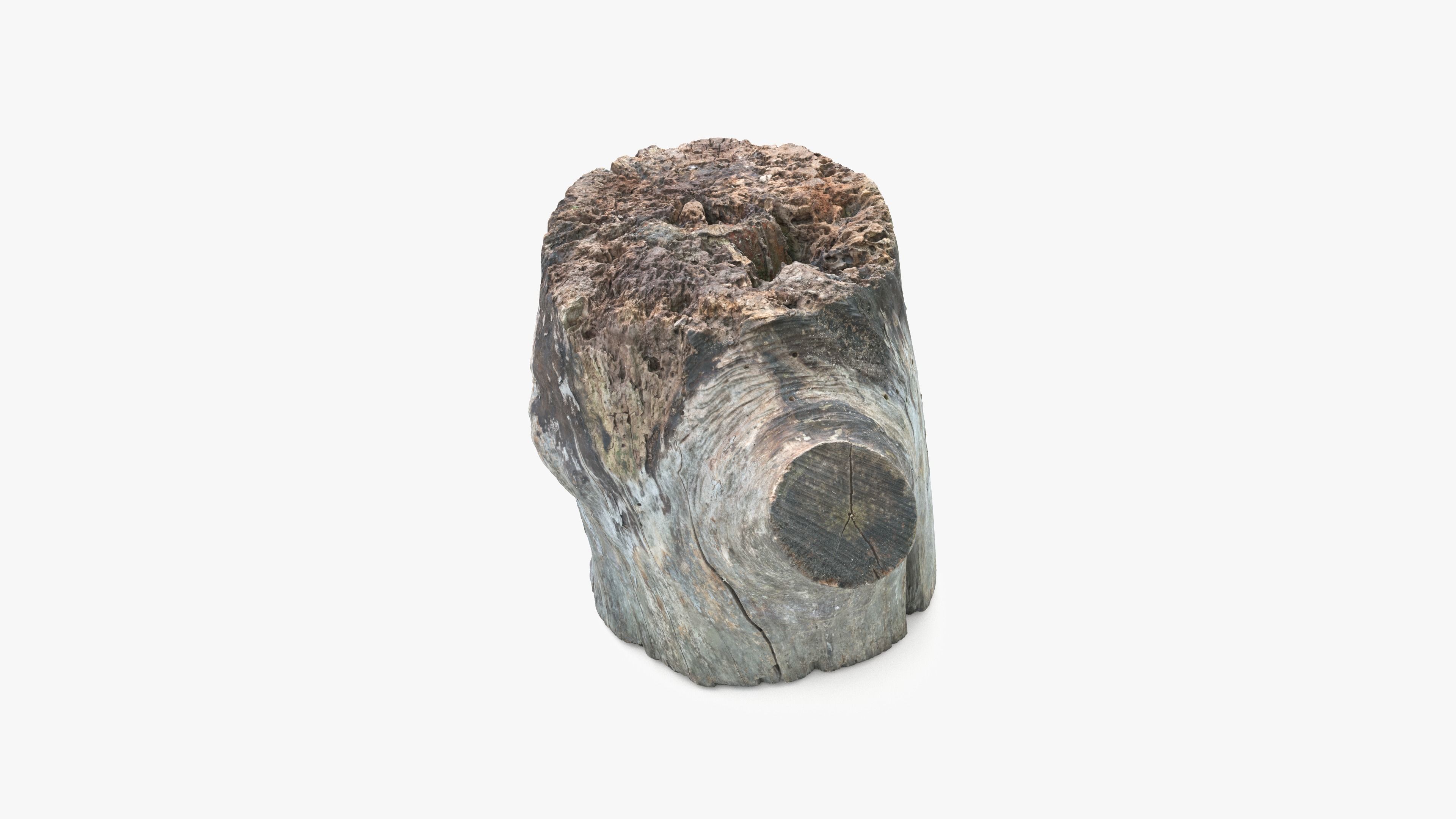 Log Round with Branch Low-poly 3D model_14