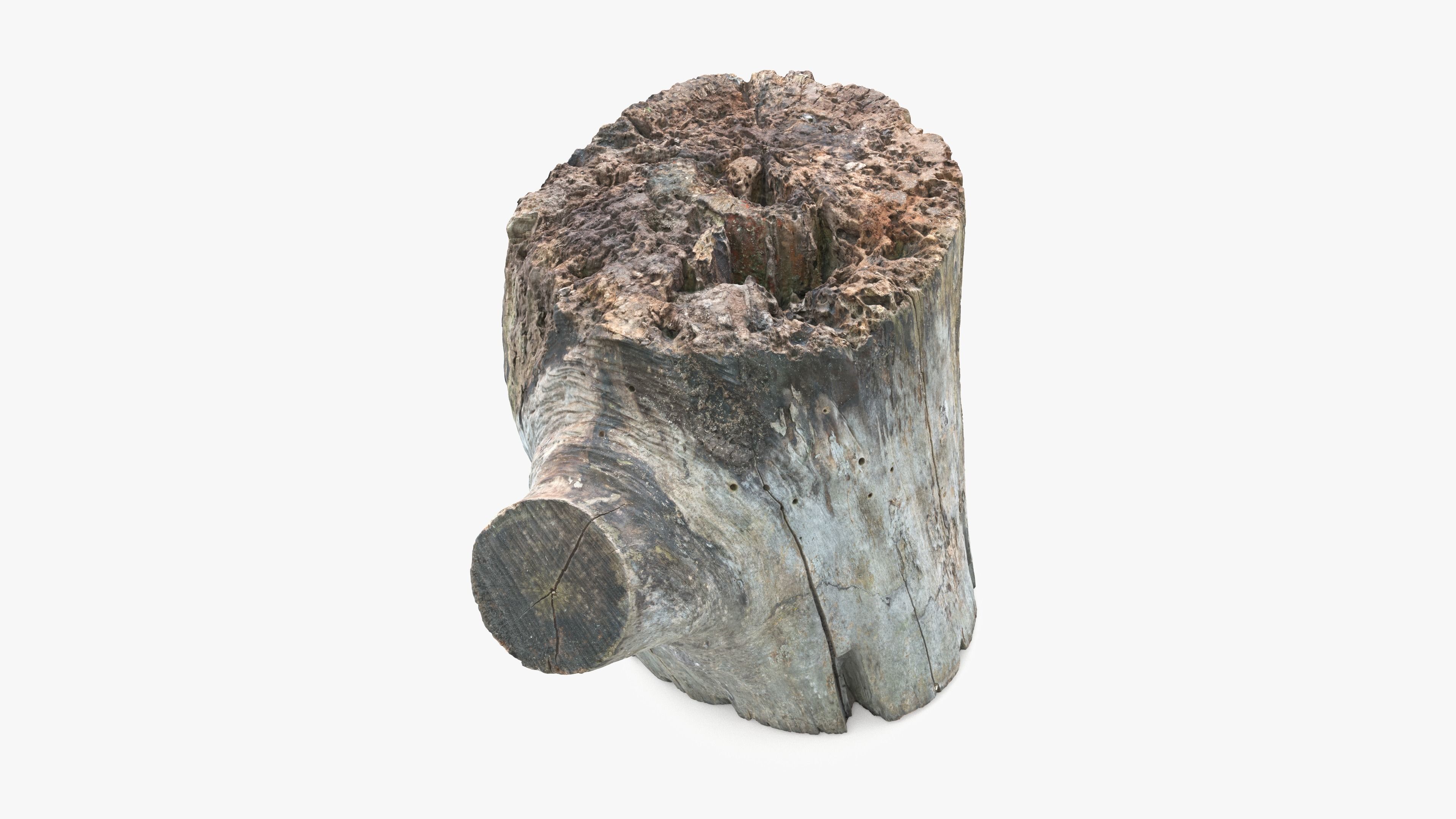 Log Round with Branch Low-poly 3D model_2