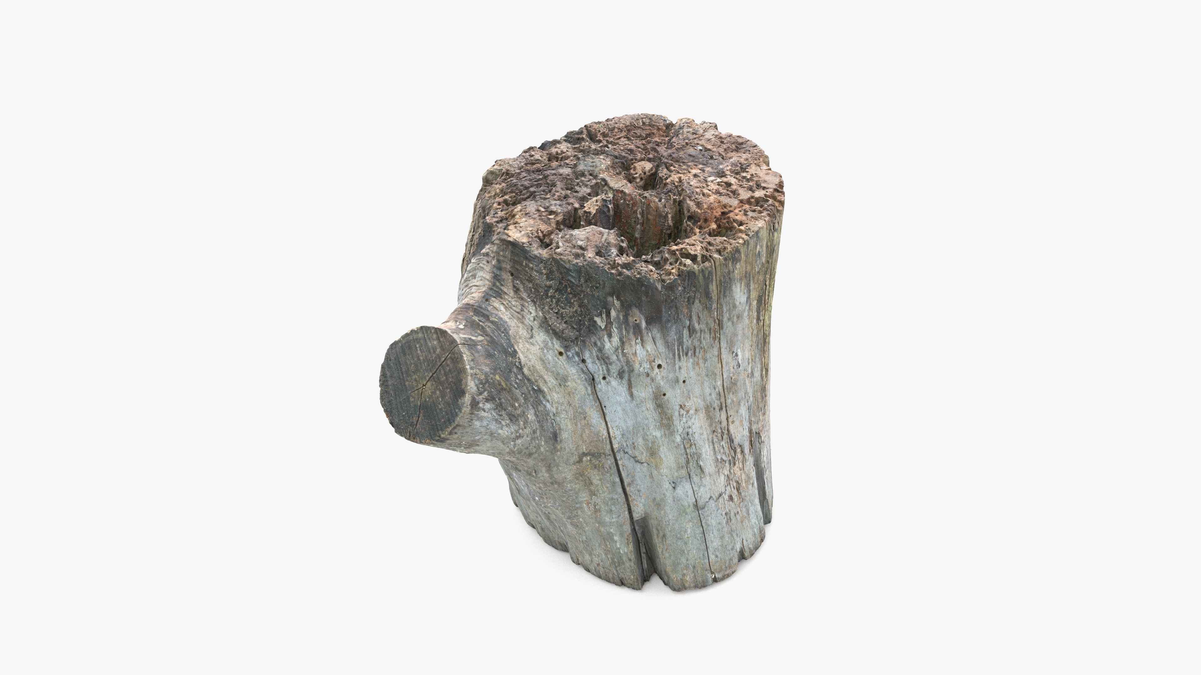 Log Round with Branch Low-poly 3D model_13