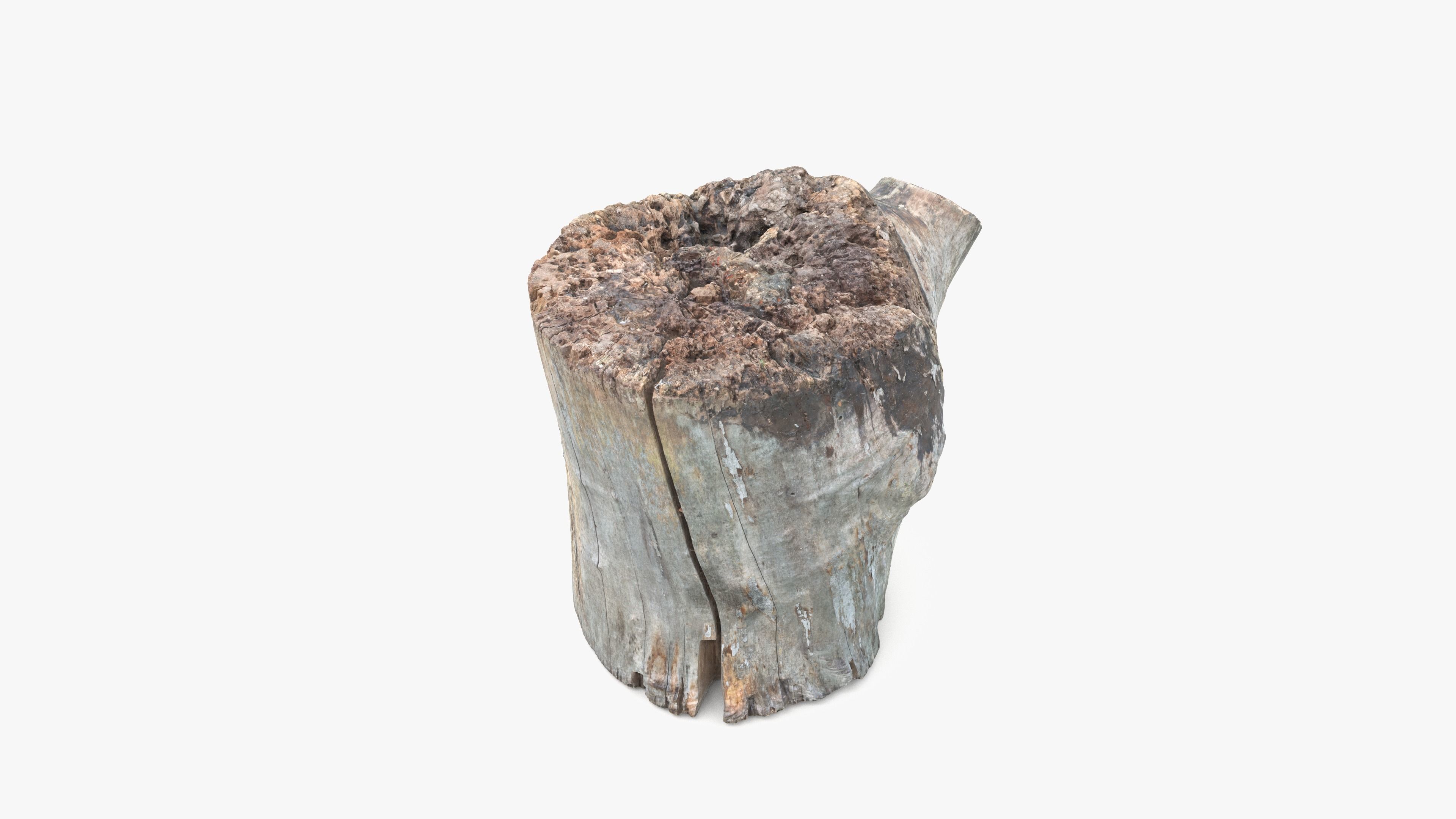 Log Round with Branch Low-poly 3D model_16